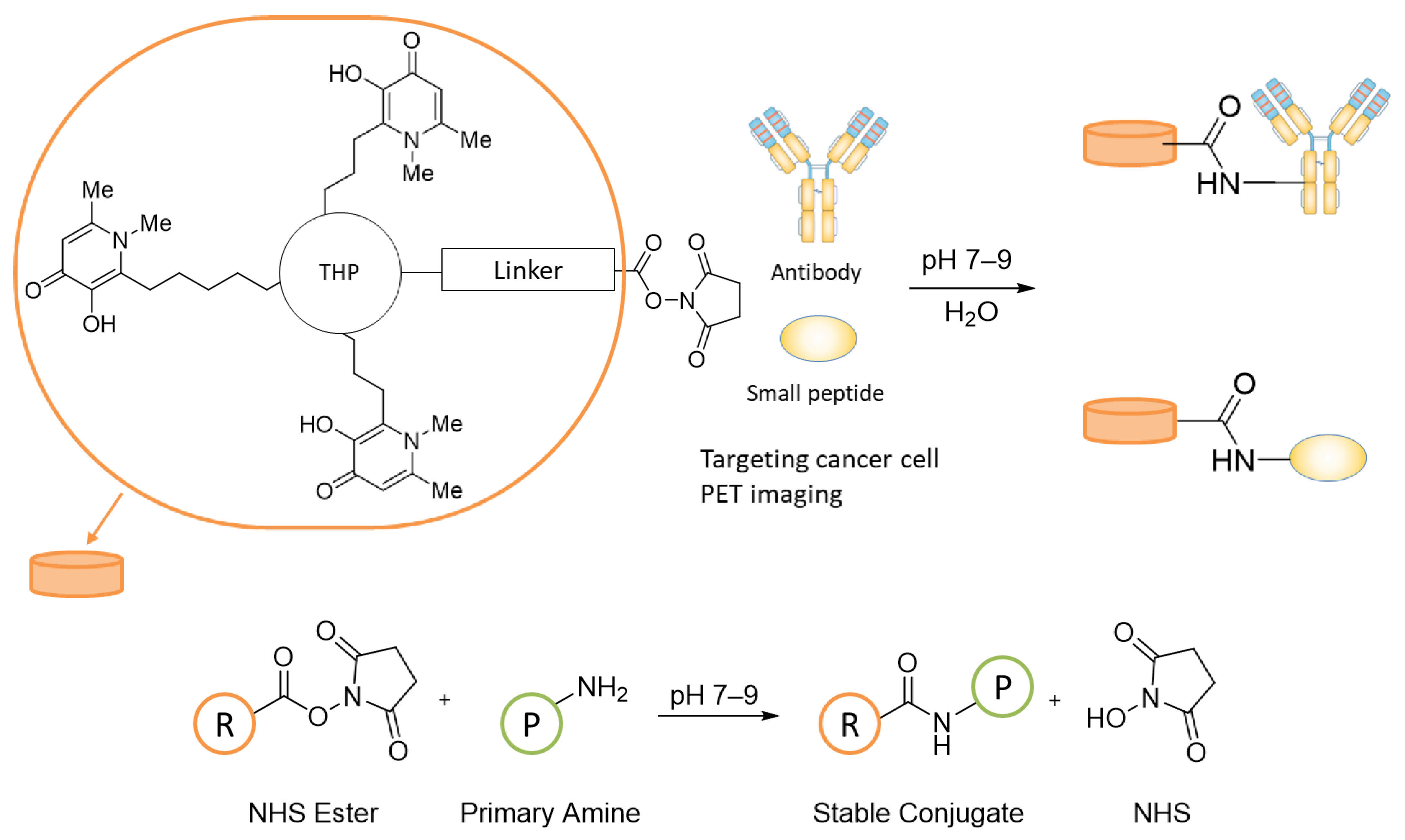 Biomedicines 09 00367 g002