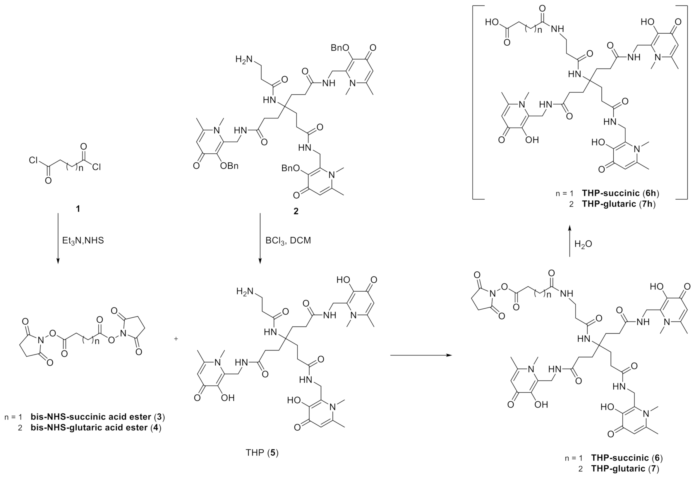 Biomedicines 09 00367 g004