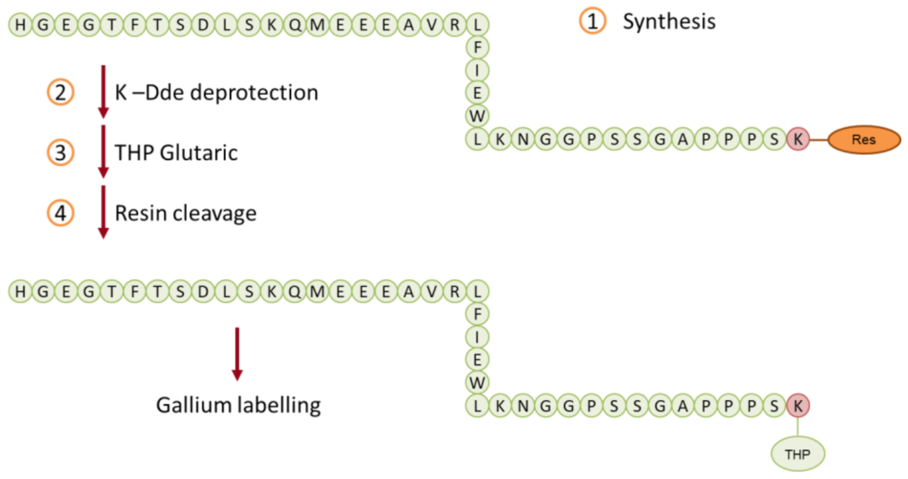 Biomedicines 09 00367 g006