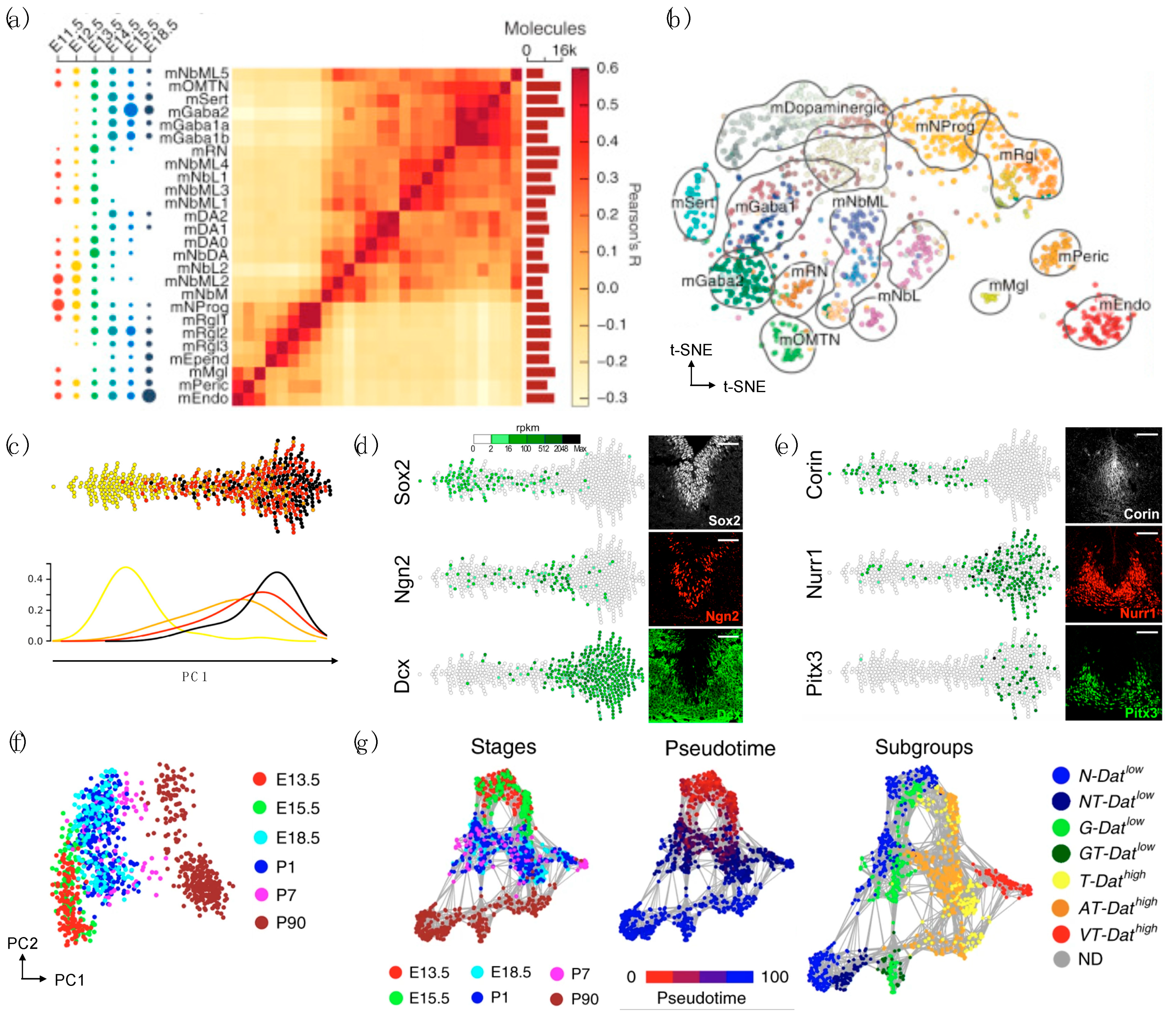 Biomedicines 09 00368 g001 Biomedicines 09 00368 g001