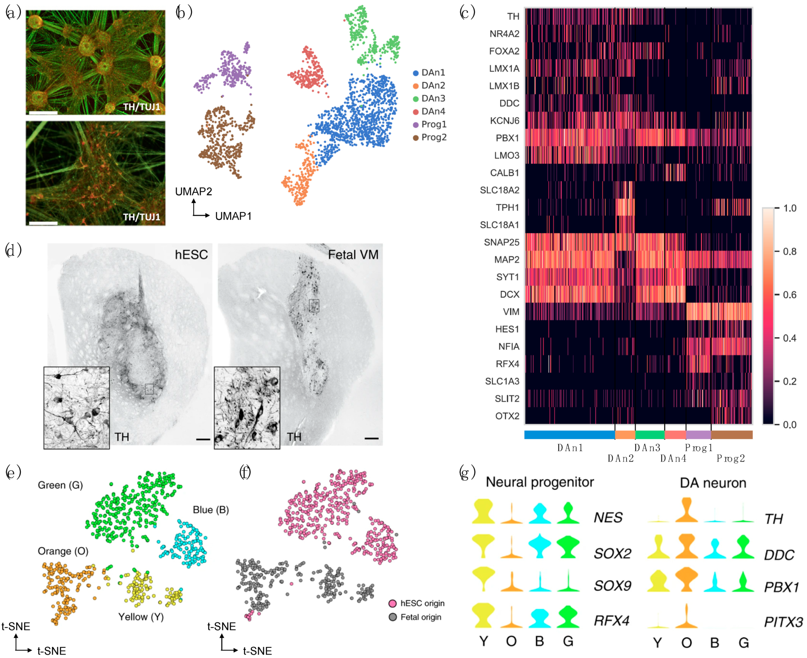 Biomedicines 09 00368 g002 Biomedicines 09 00368 g002
