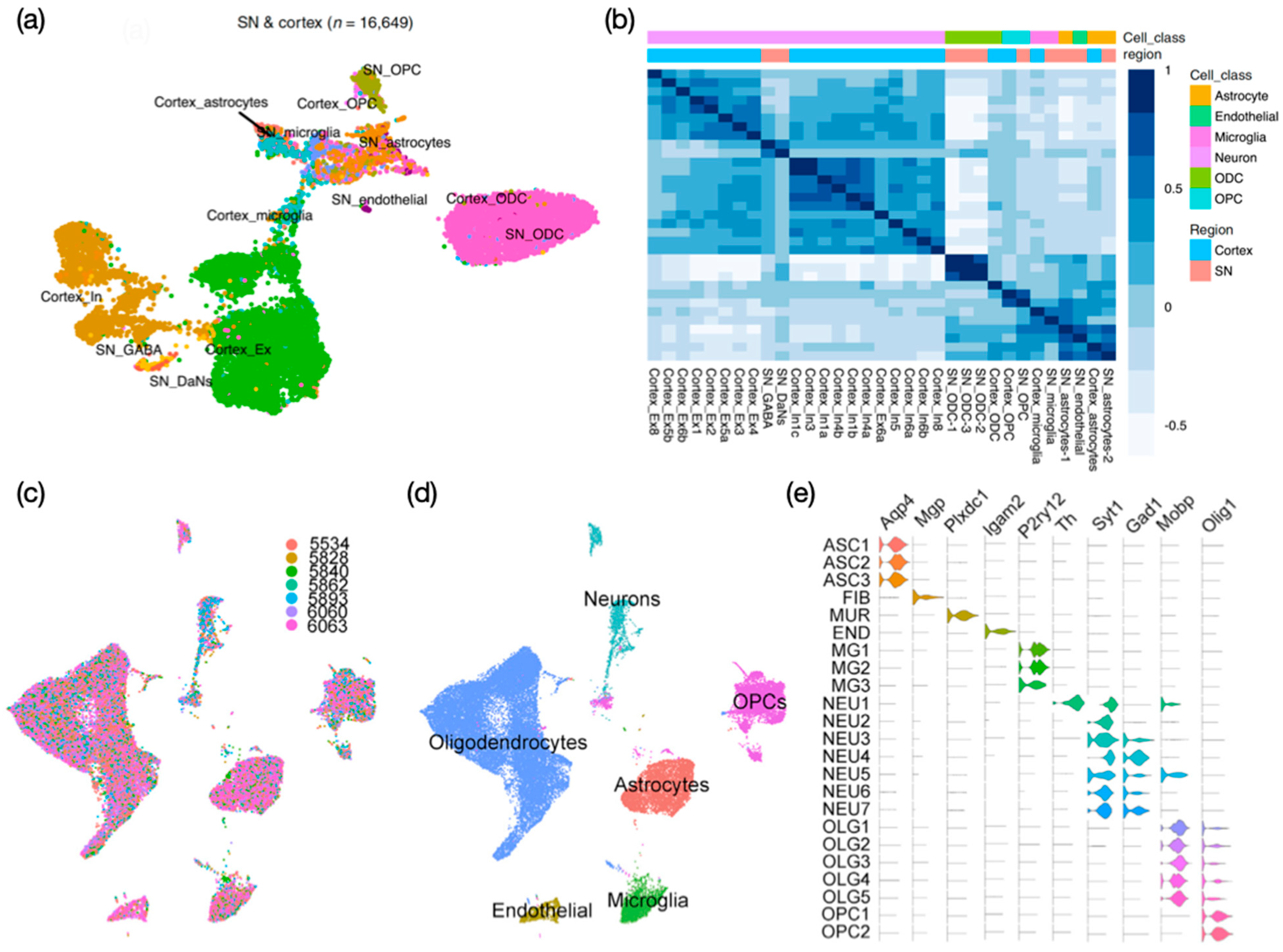 Biomedicines 09 00368 g003 Biomedicines 09 00368 g003