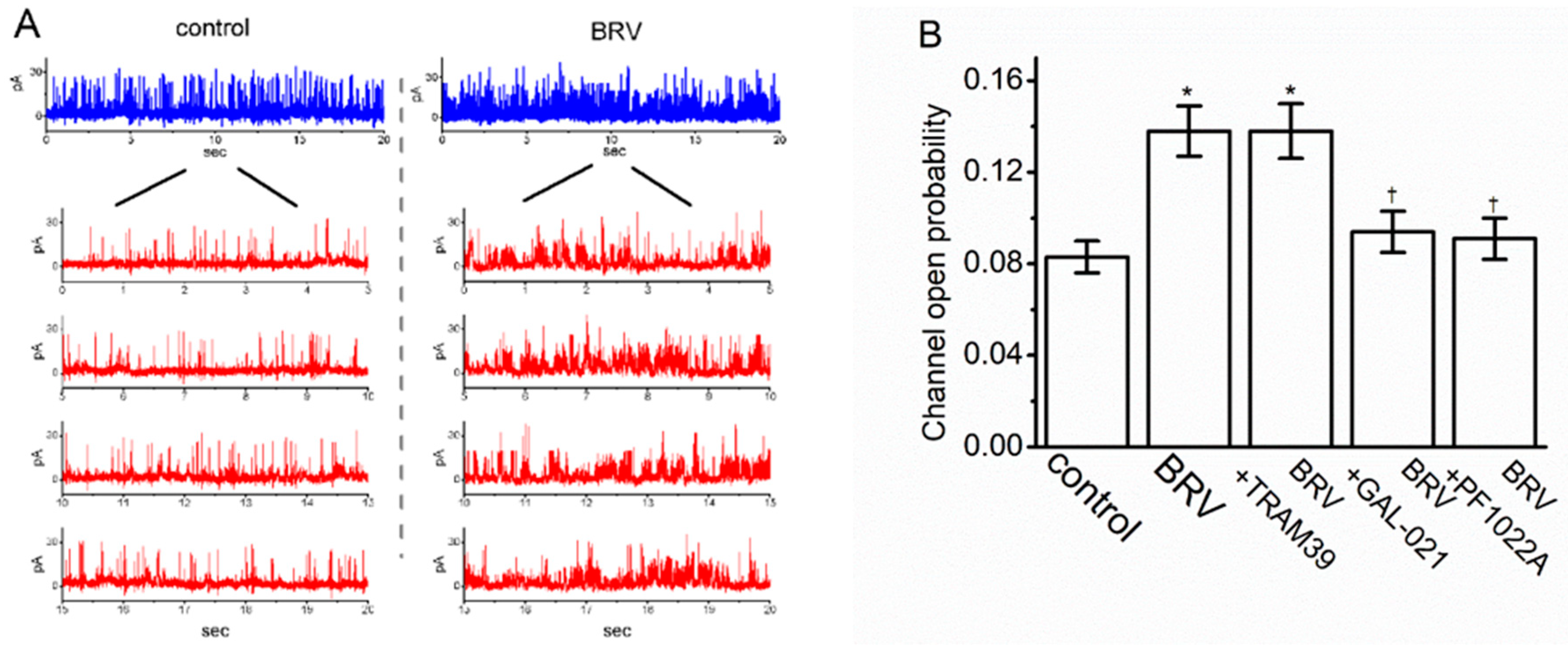 Biomedicines 09 00369 g006 Biomedicines 09 00369 g006