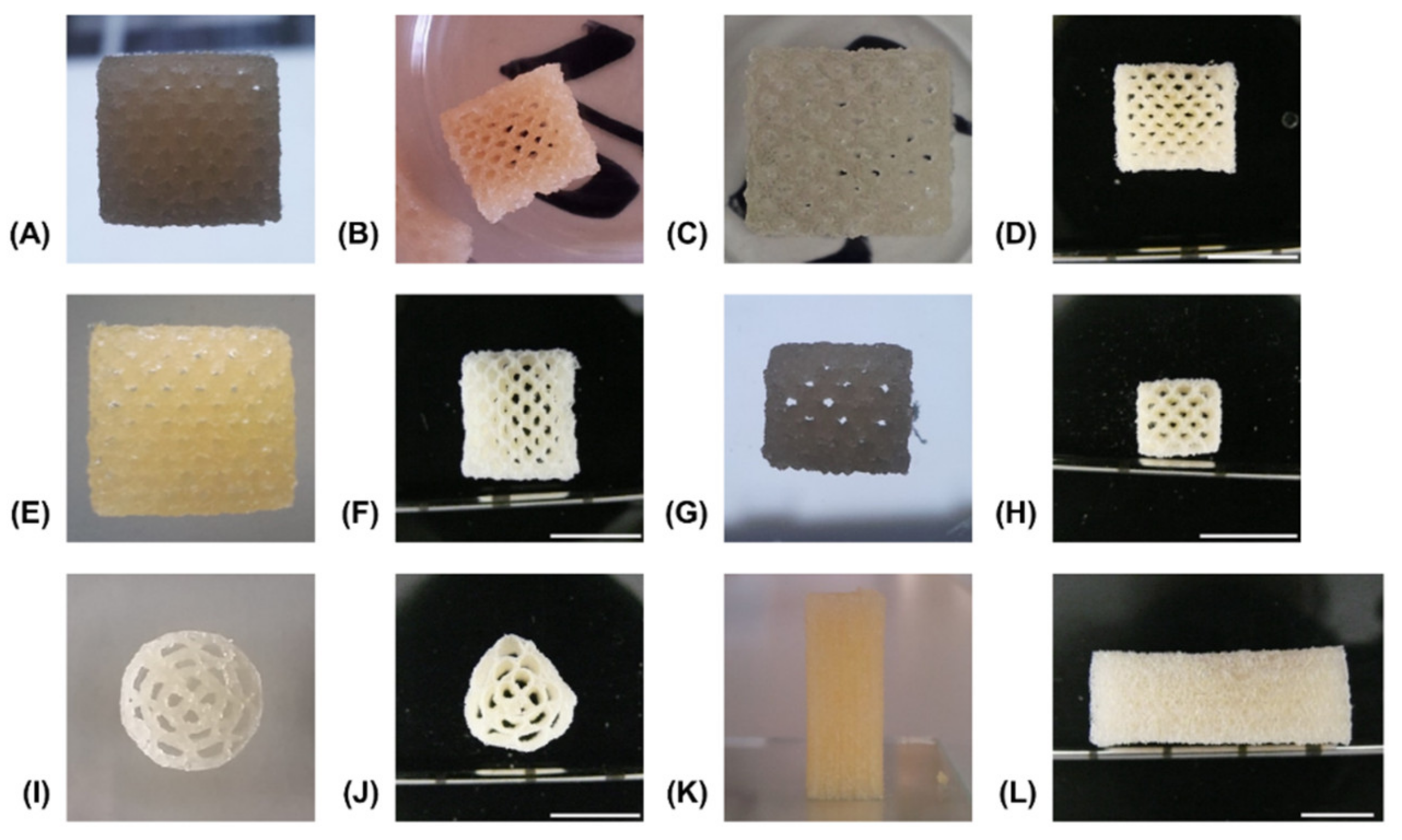 Biomedicines 09 00370 g006 Biomedicines 09 00370 g006