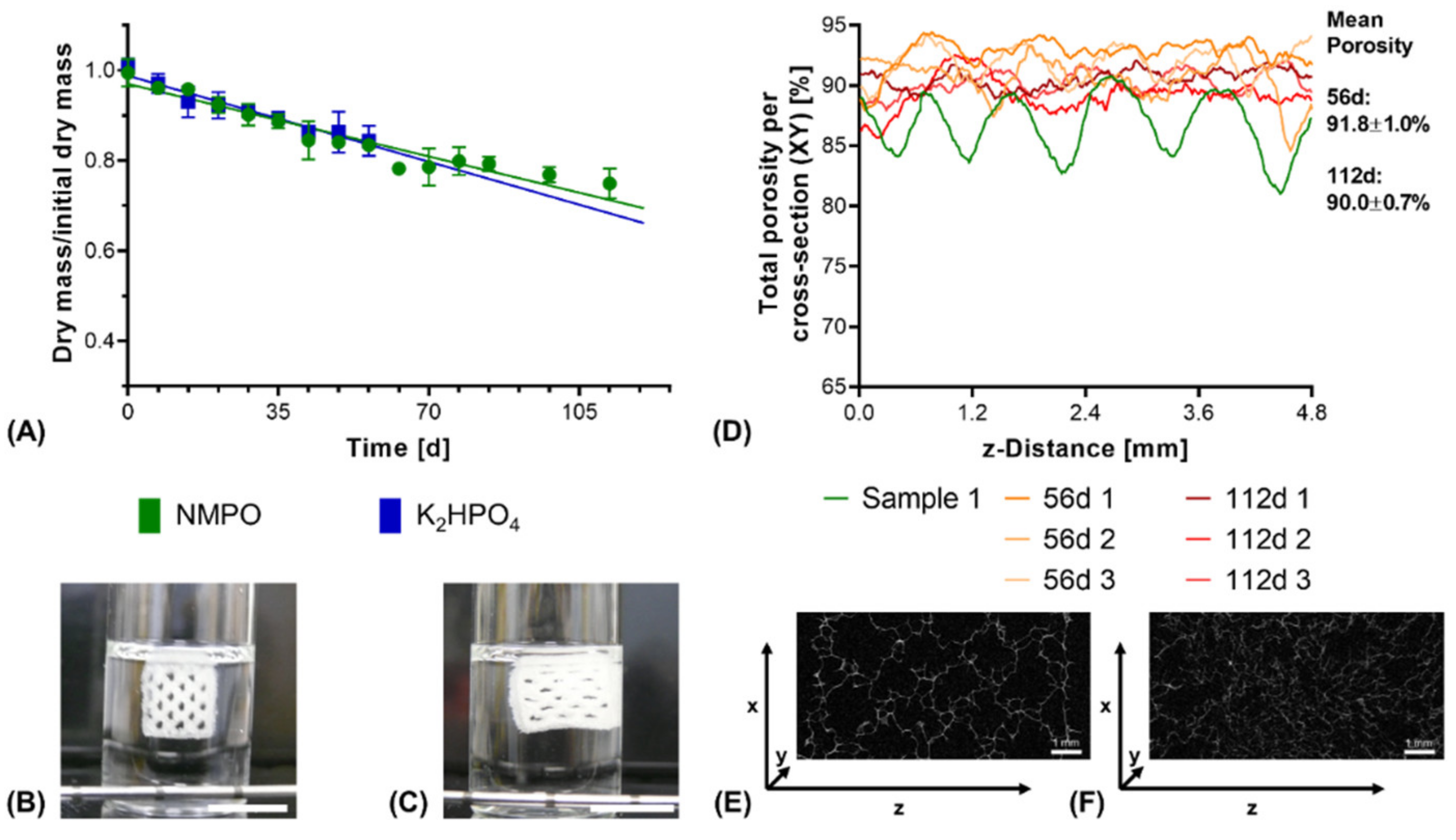 Biomedicines 09 00370 g009 Biomedicines 09 00370 g009