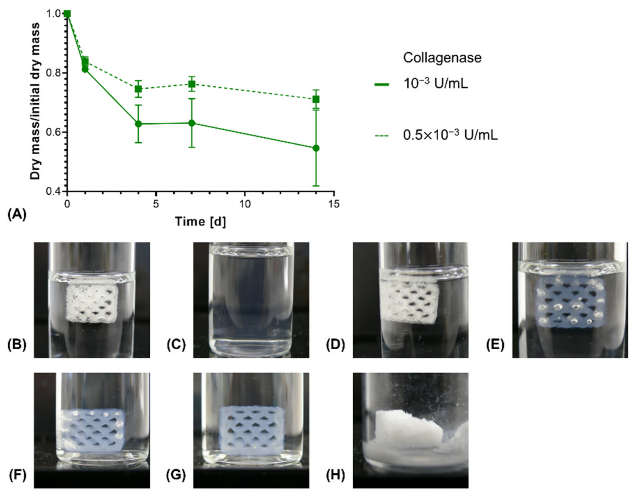 Biomedicines 09 00370 g010 Biomedicines 09 00370 g010