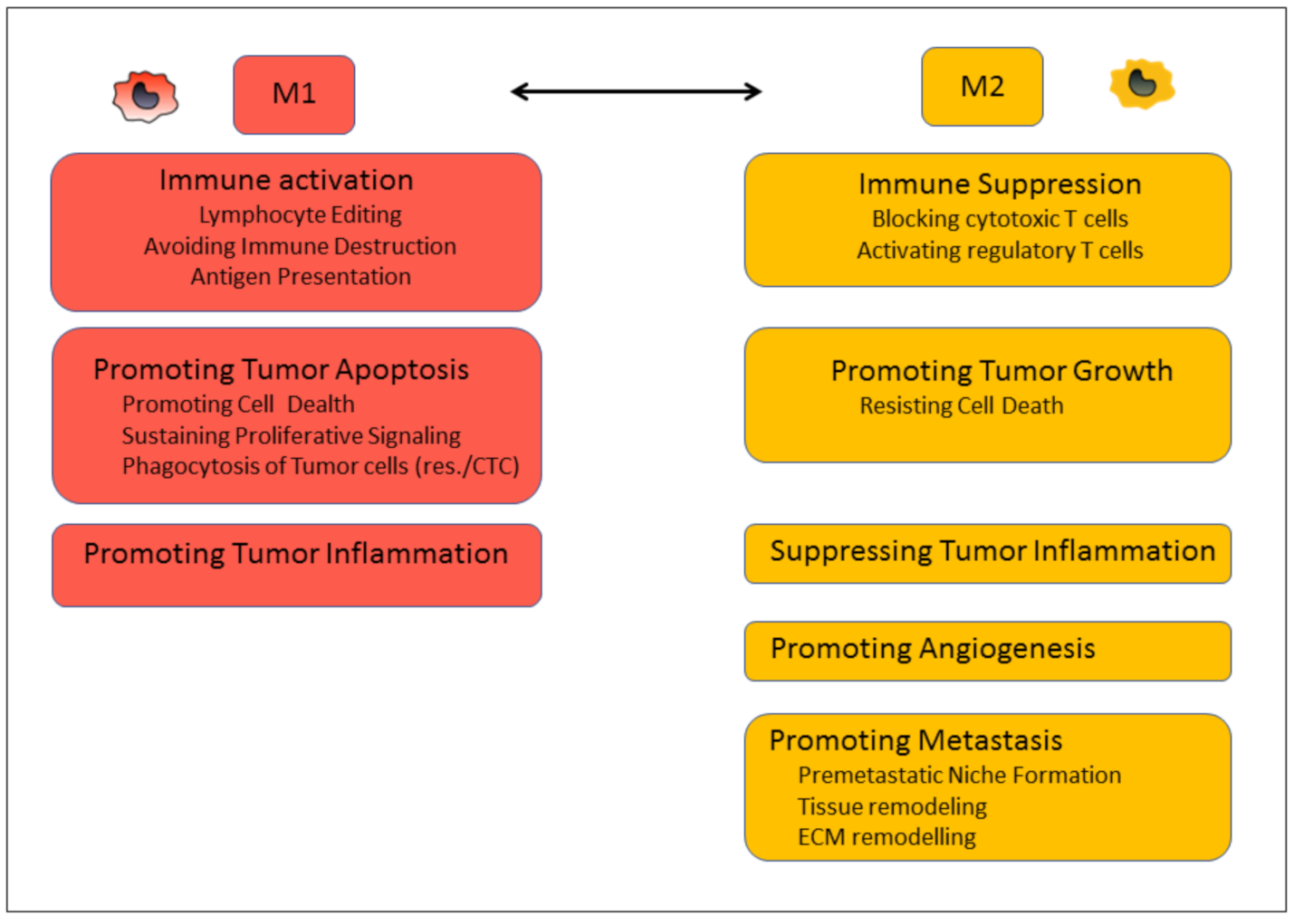 Biomedicines 09 00374 g001