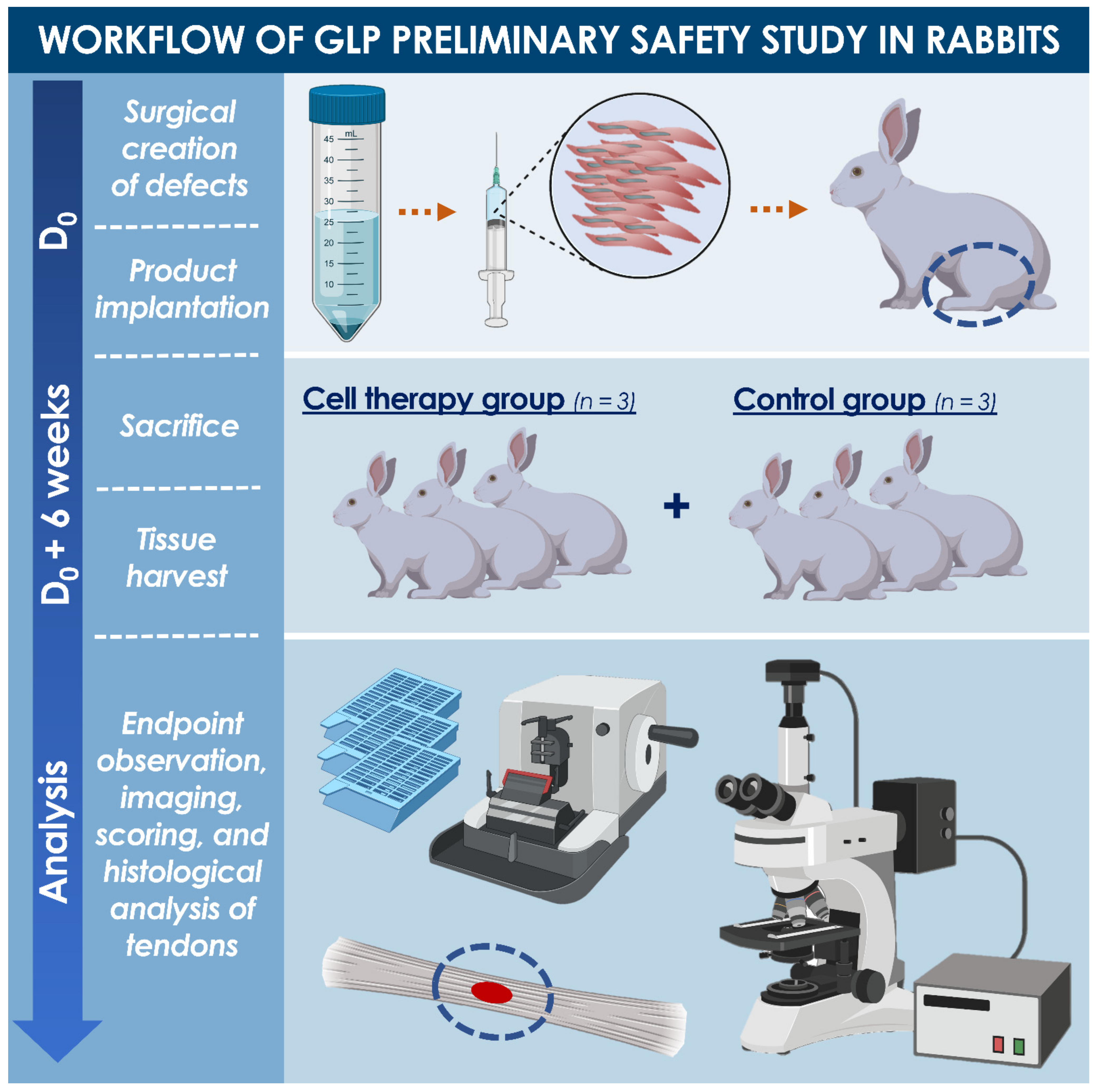 Biomedicines 09 00380 g001 Biomedicines 09 00380 g001