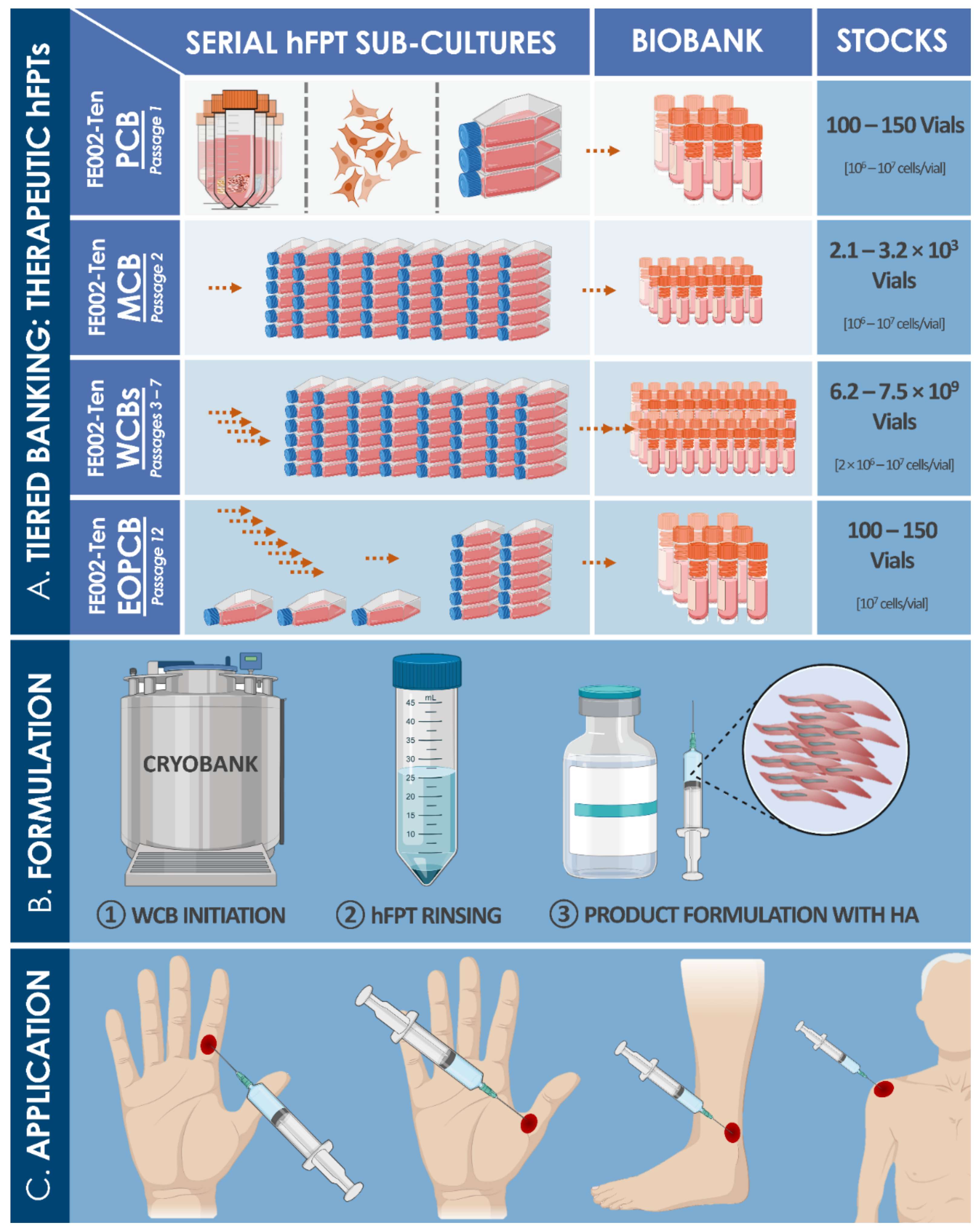 Biomedicines 09 00380 g003 Biomedicines 09 00380 g003