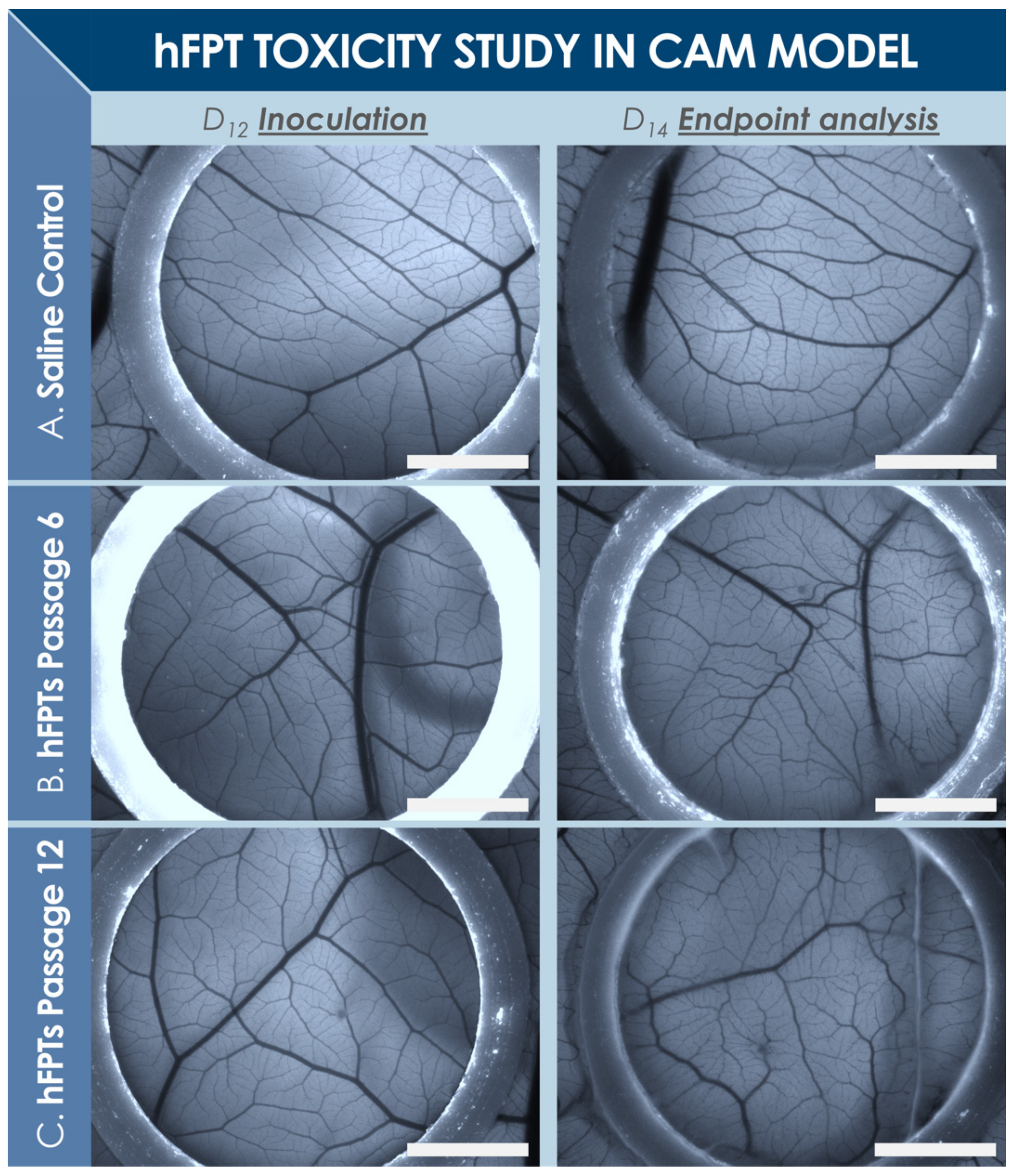 Biomedicines 09 00380 g004 Biomedicines 09 00380 g004