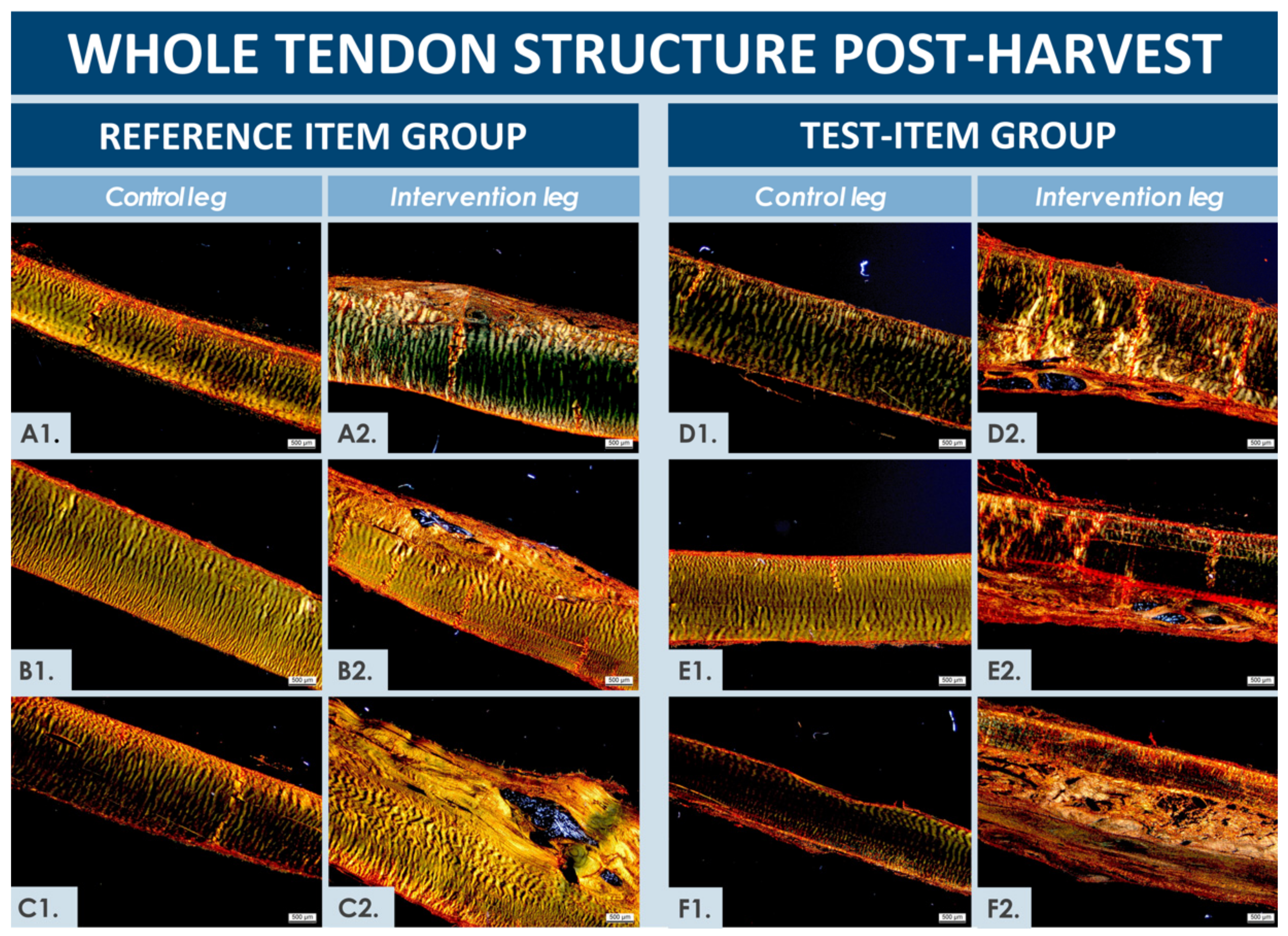 Biomedicines 09 00380 g005 Biomedicines 09 00380 g005