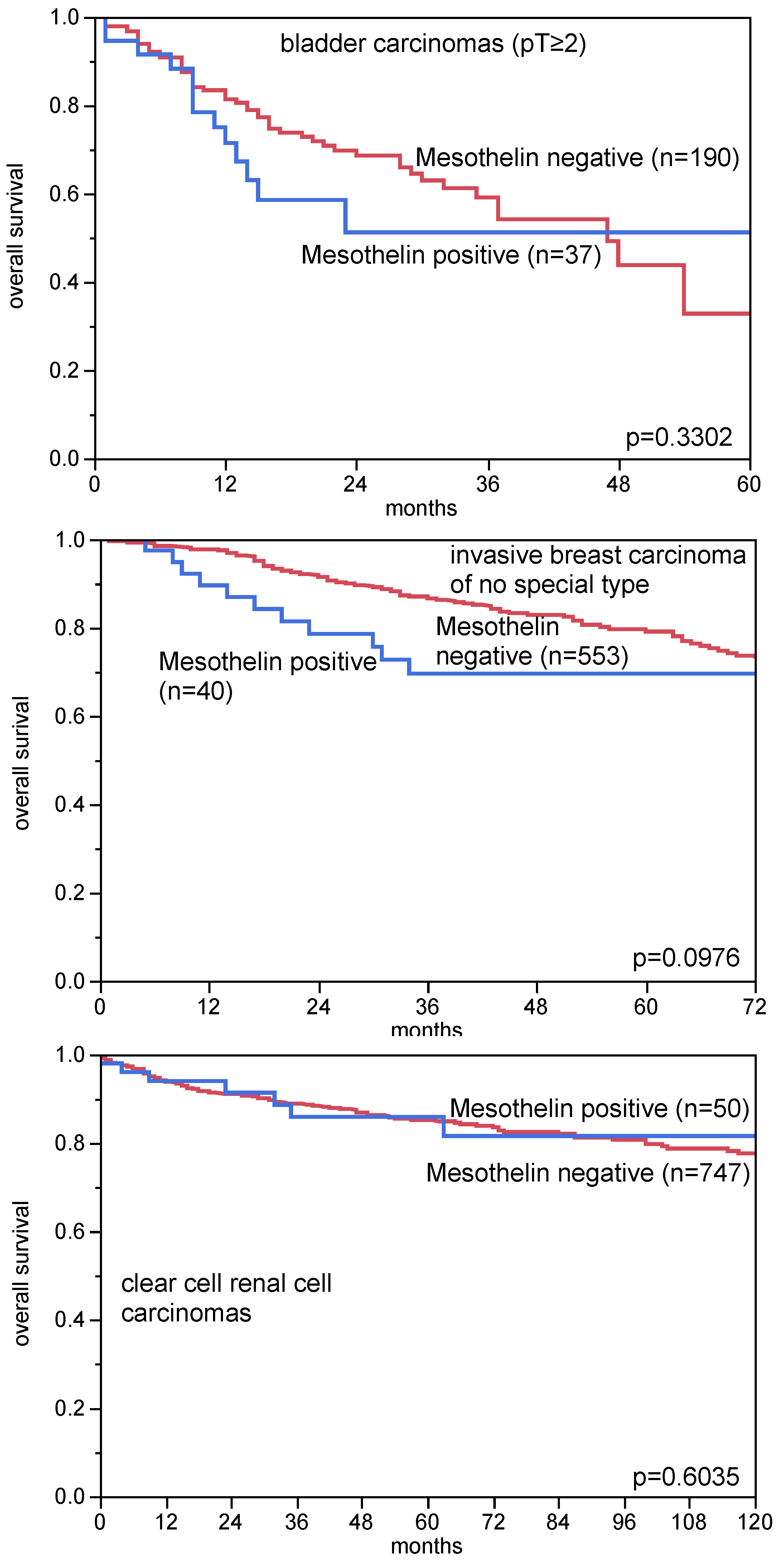 Biomedicines 09 00397 g004