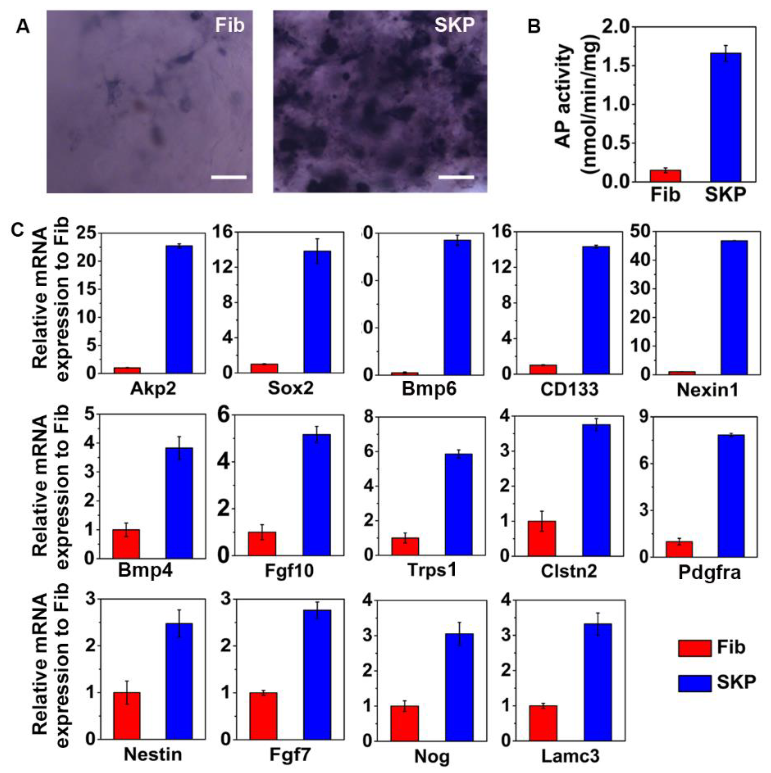 Biomedicines 09 00400 g005