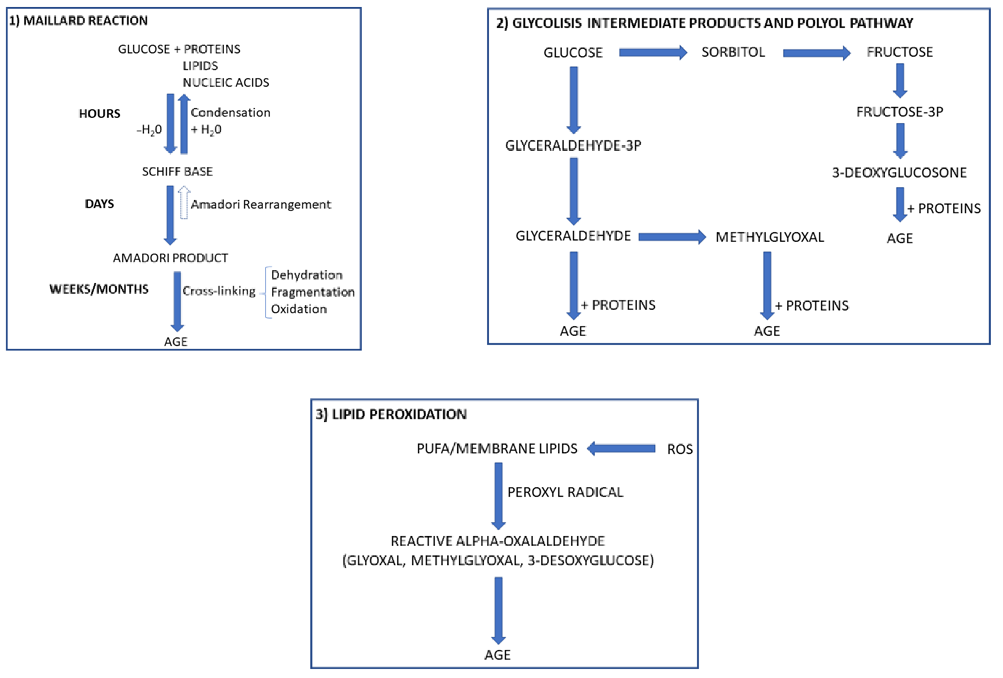 Biomedicines 09 00405 g001