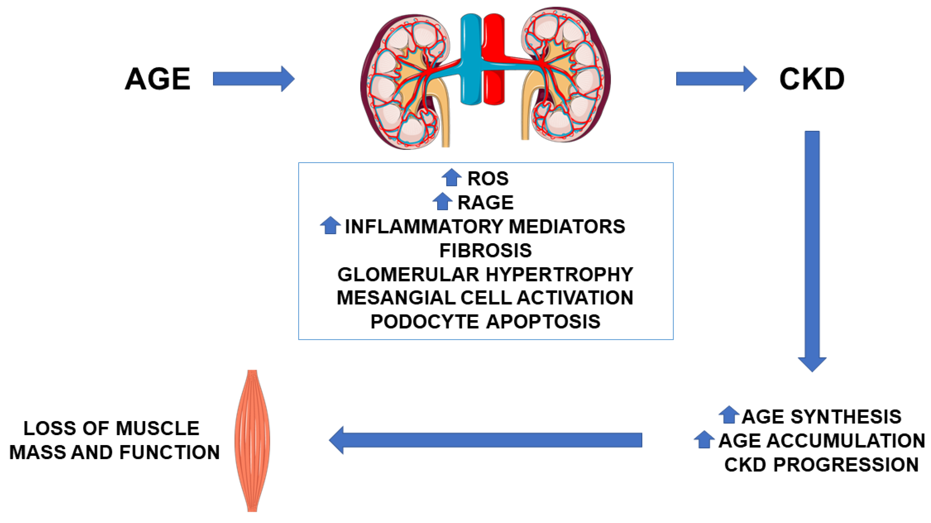 Biomedicines 09 00405 g002