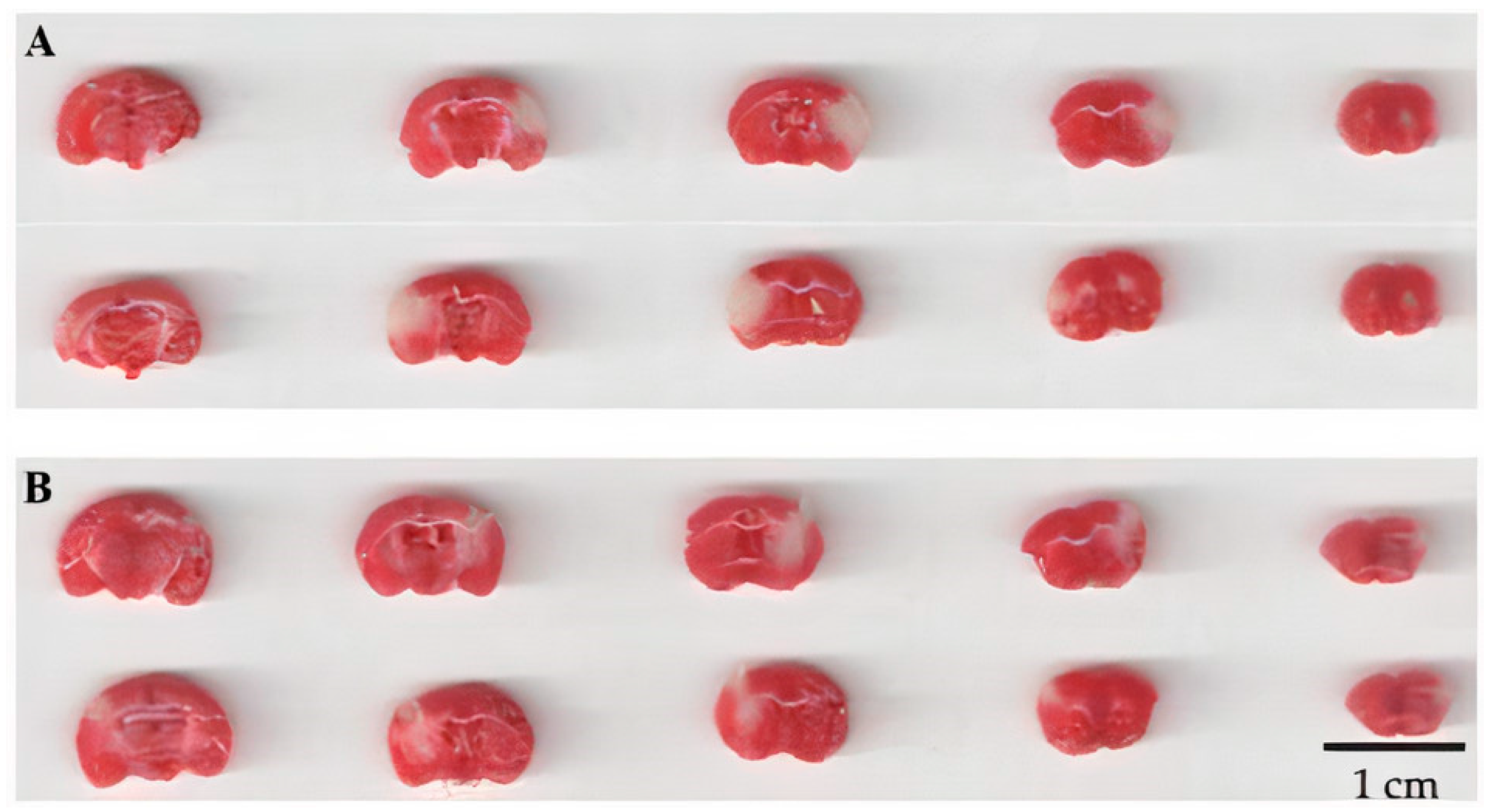 Biomedicines 09 00407 g006 Biomedicines 09 00407 g006