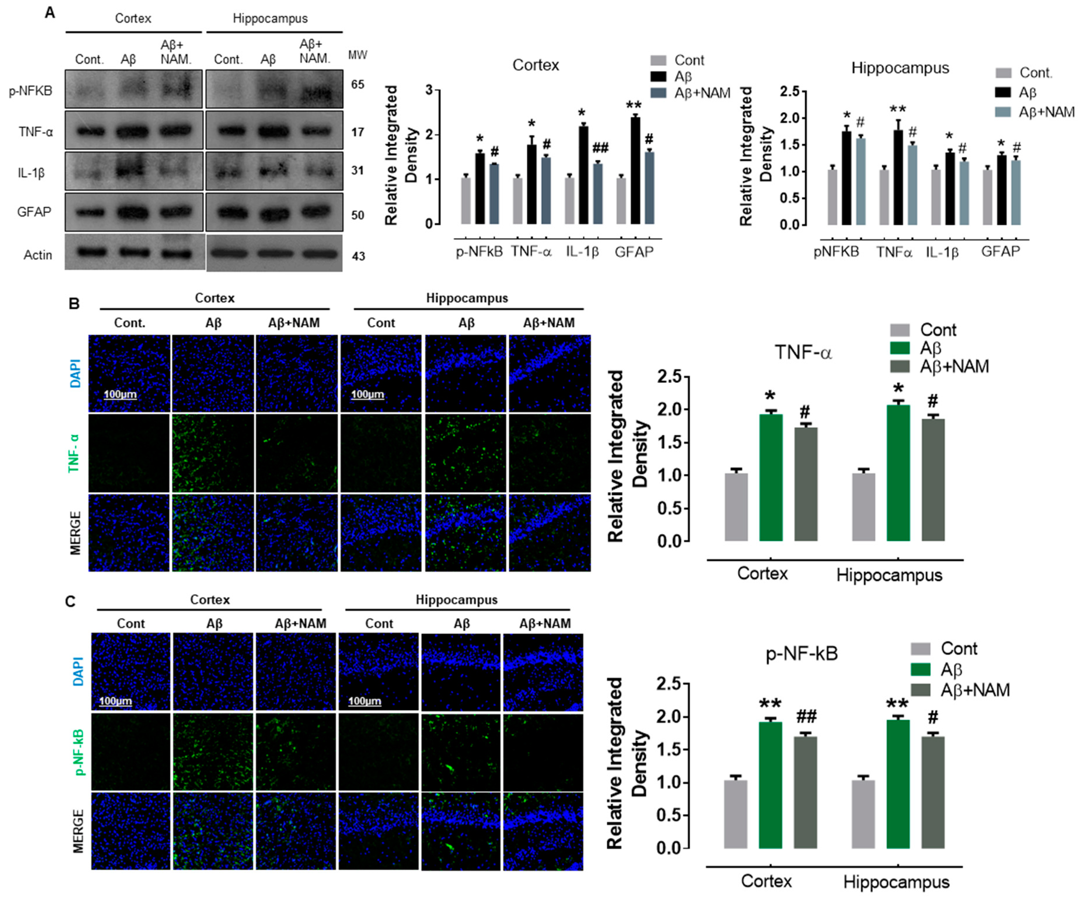 Biomedicines 09 00408 g003