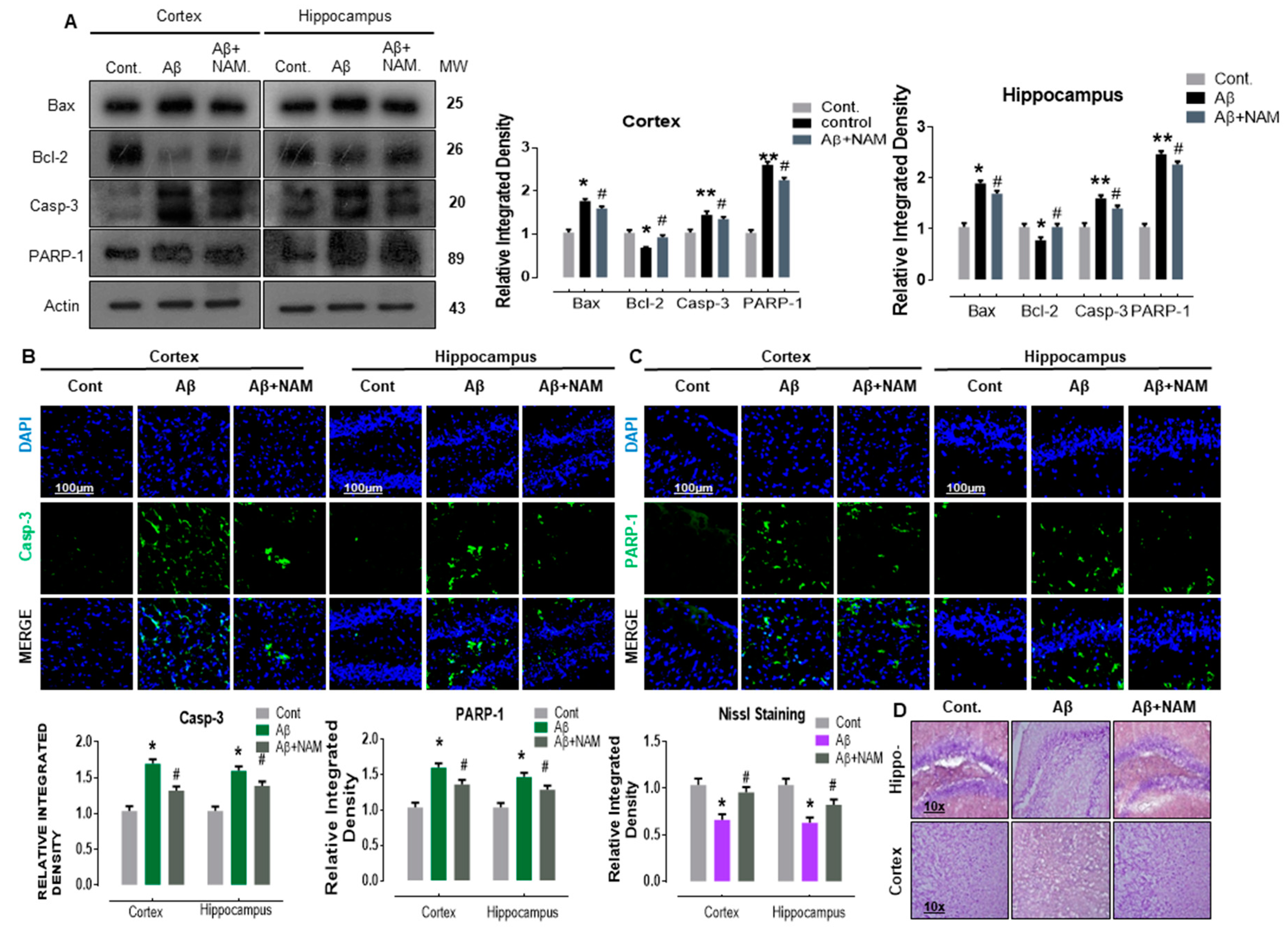 Biomedicines 09 00408 g004