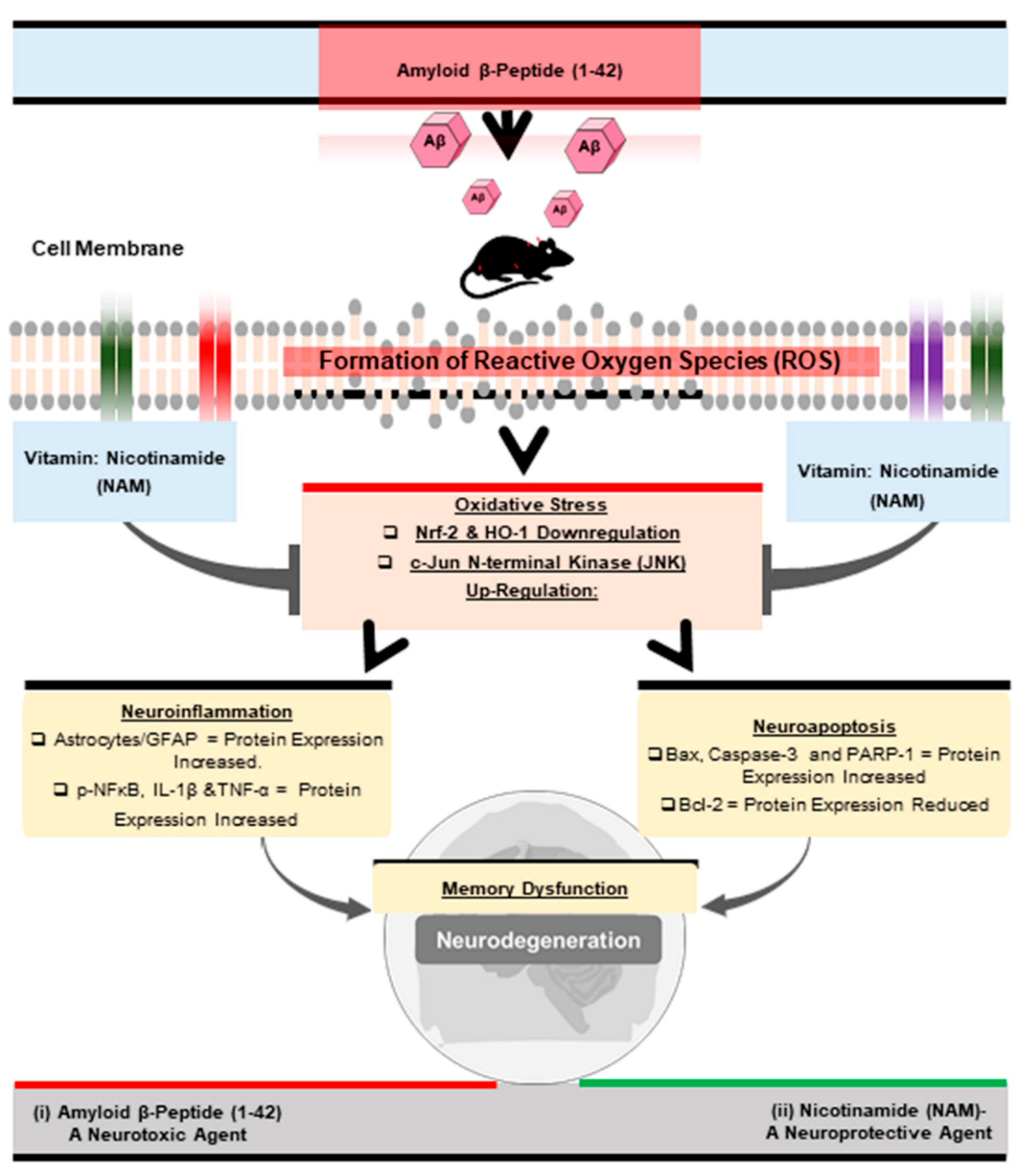 Biomedicines 09 00408 g006