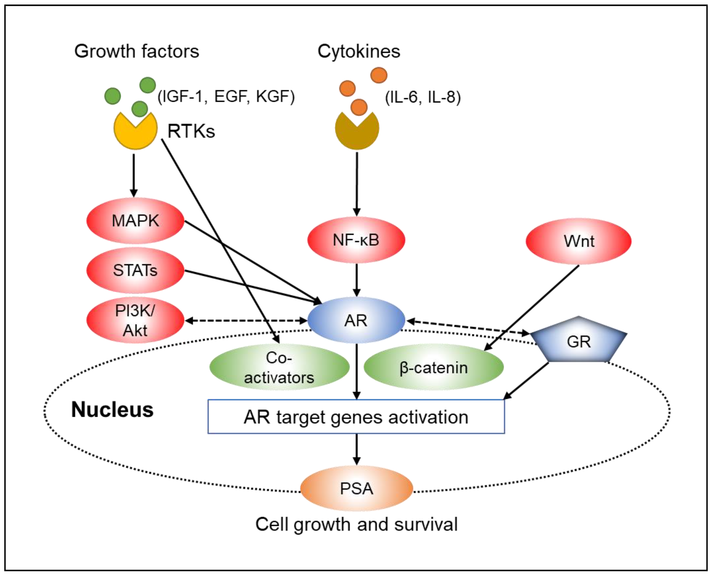 Biomedicines 09 00414 g001