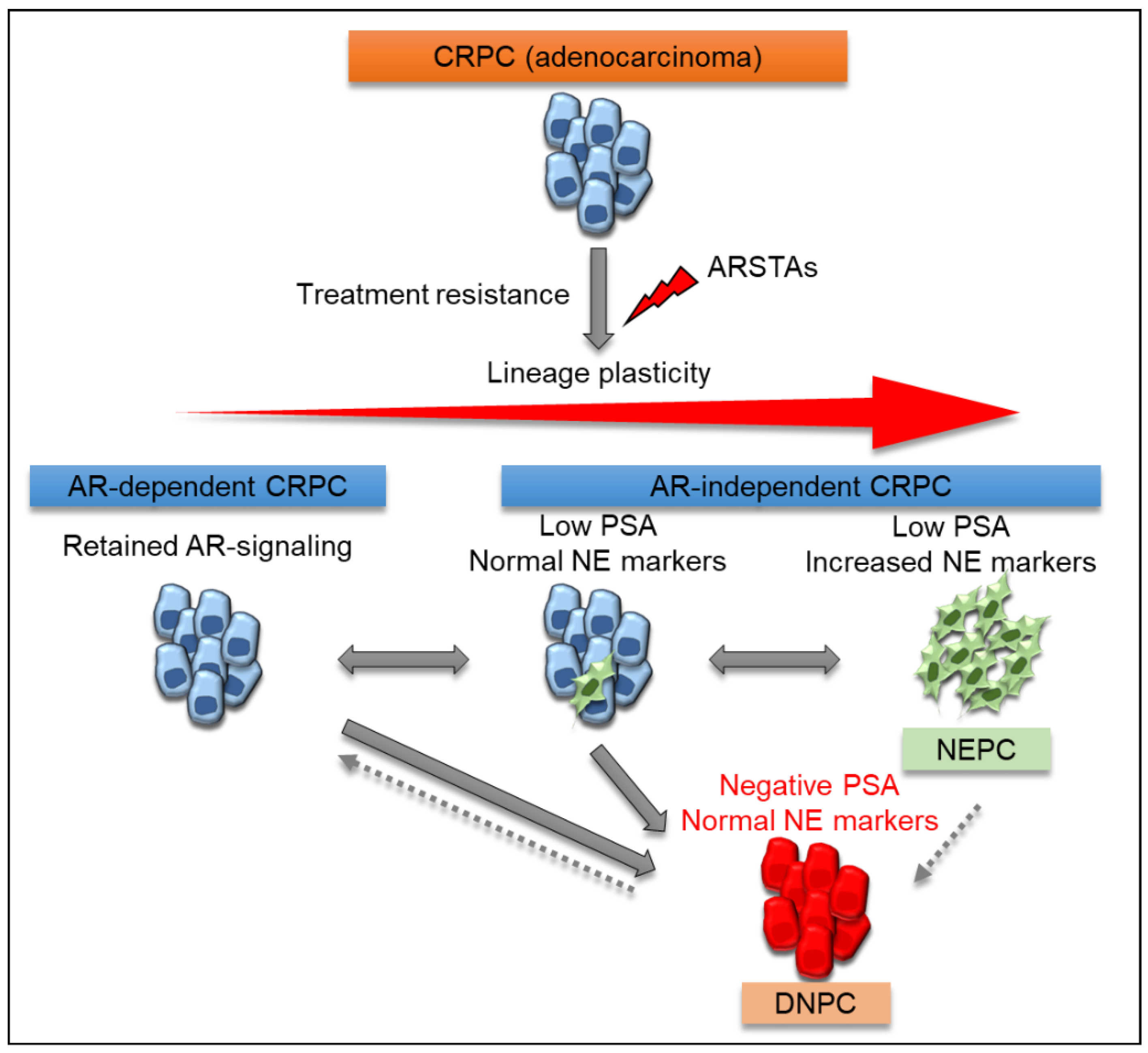 Biomedicines 09 00414 g003