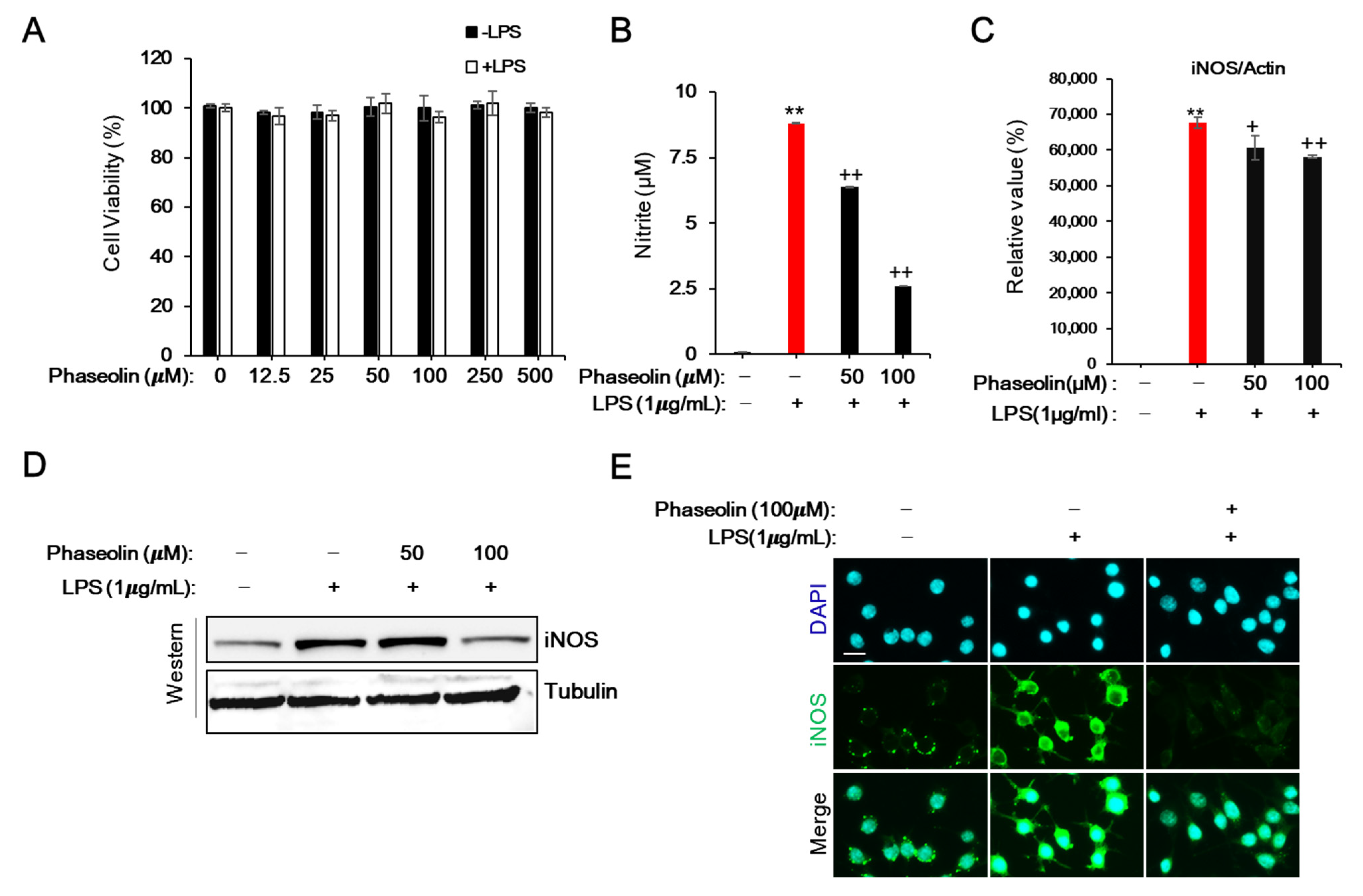 Biomedicines 09 00420 g001 Biomedicines 09 00420 g001