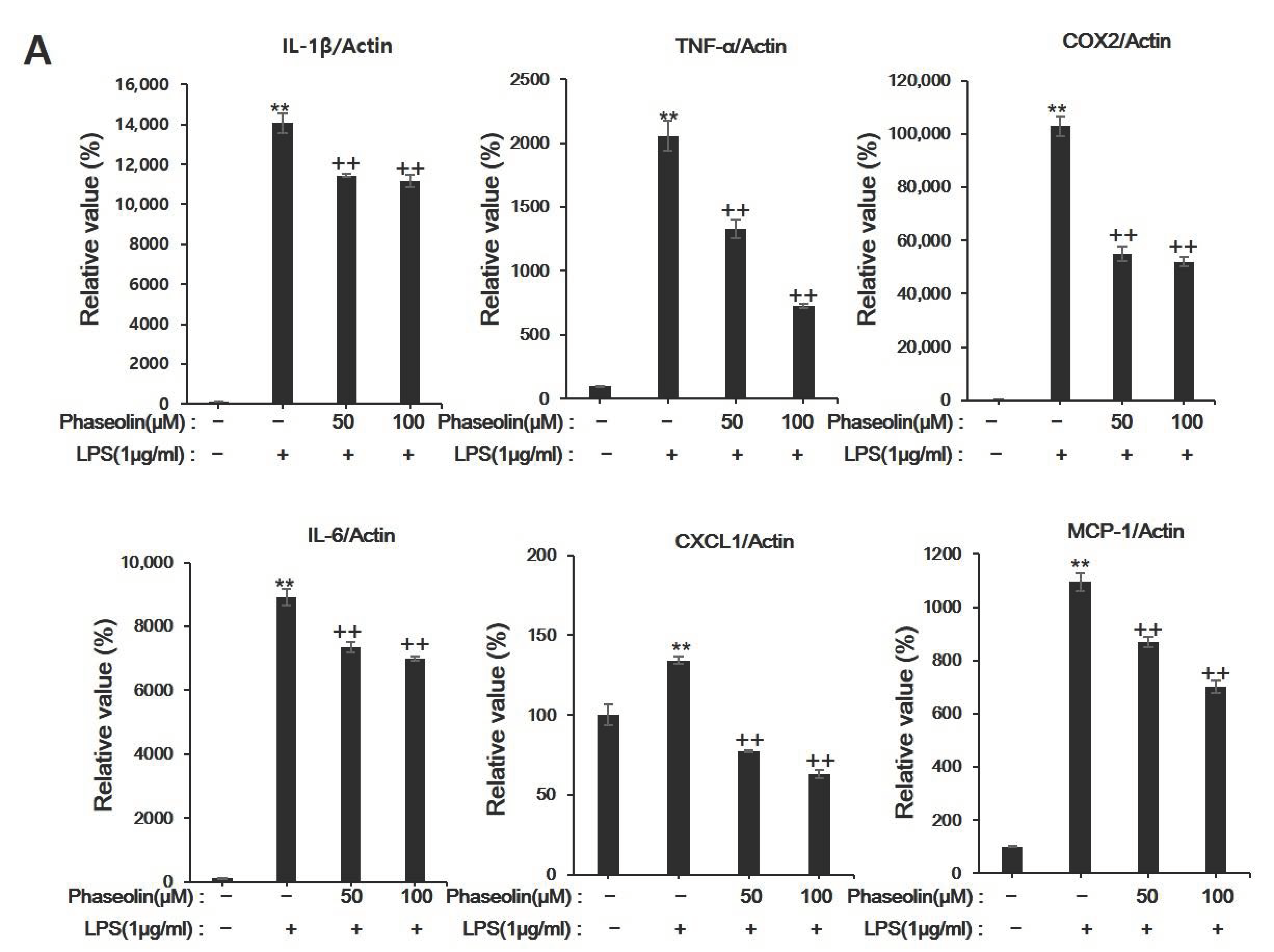 Biomedicines 09 00420 g002a Biomedicines 09 00420 g002a