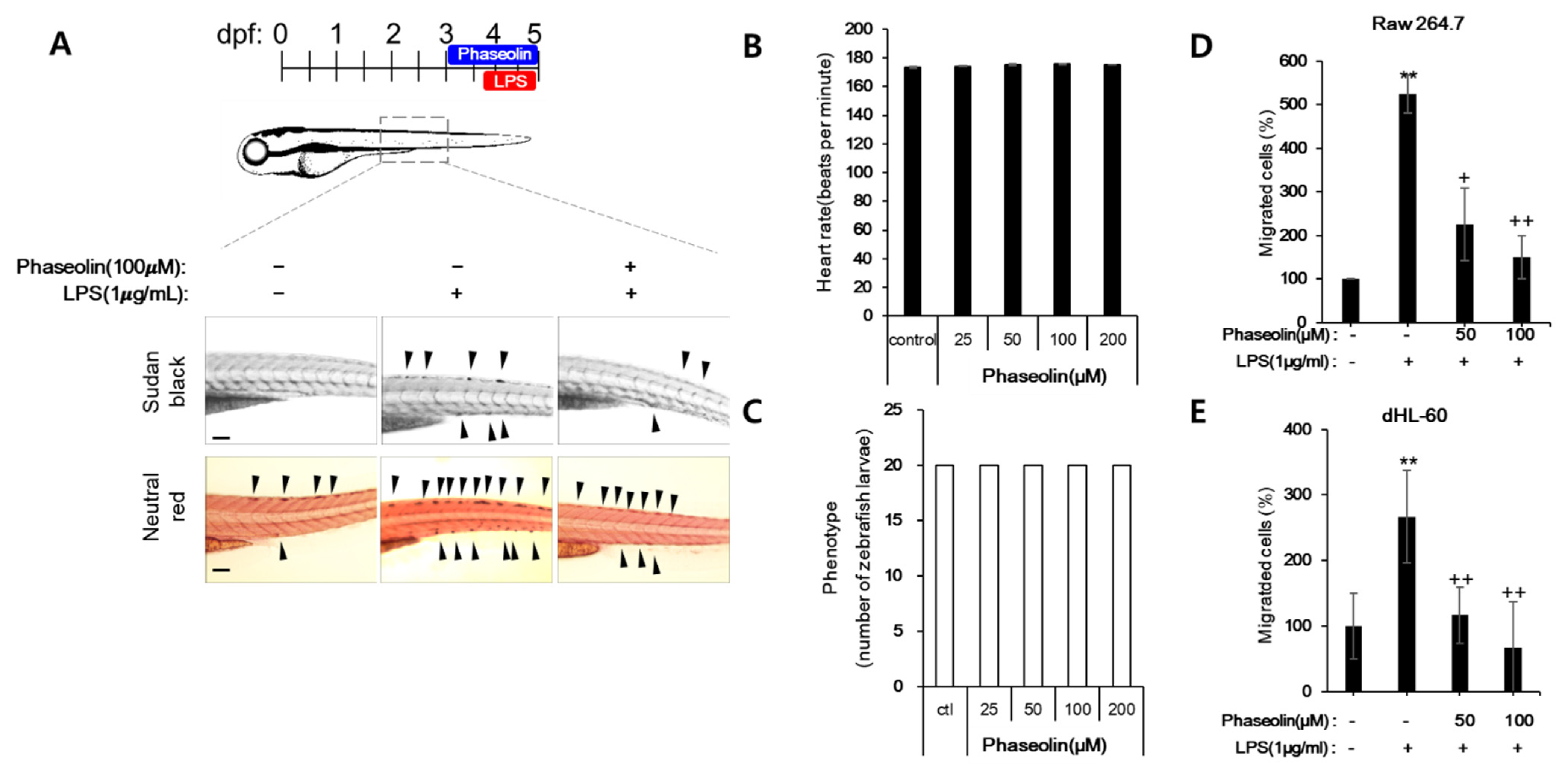 Biomedicines 09 00420 g005 Biomedicines 09 00420 g005