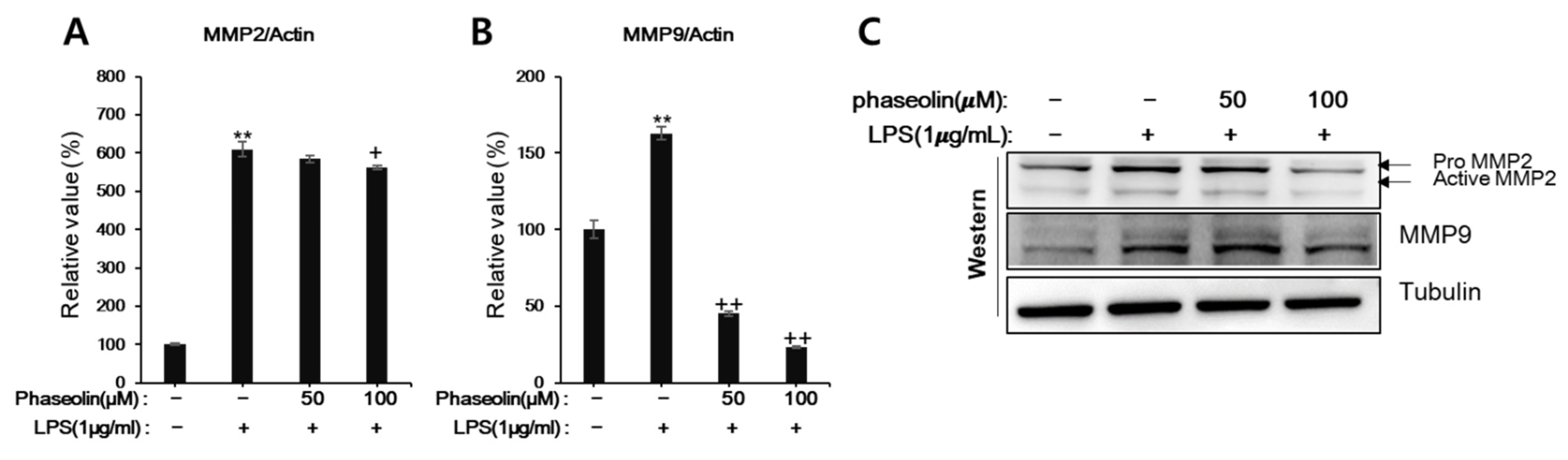 Biomedicines 09 00420 g006 Biomedicines 09 00420 g006