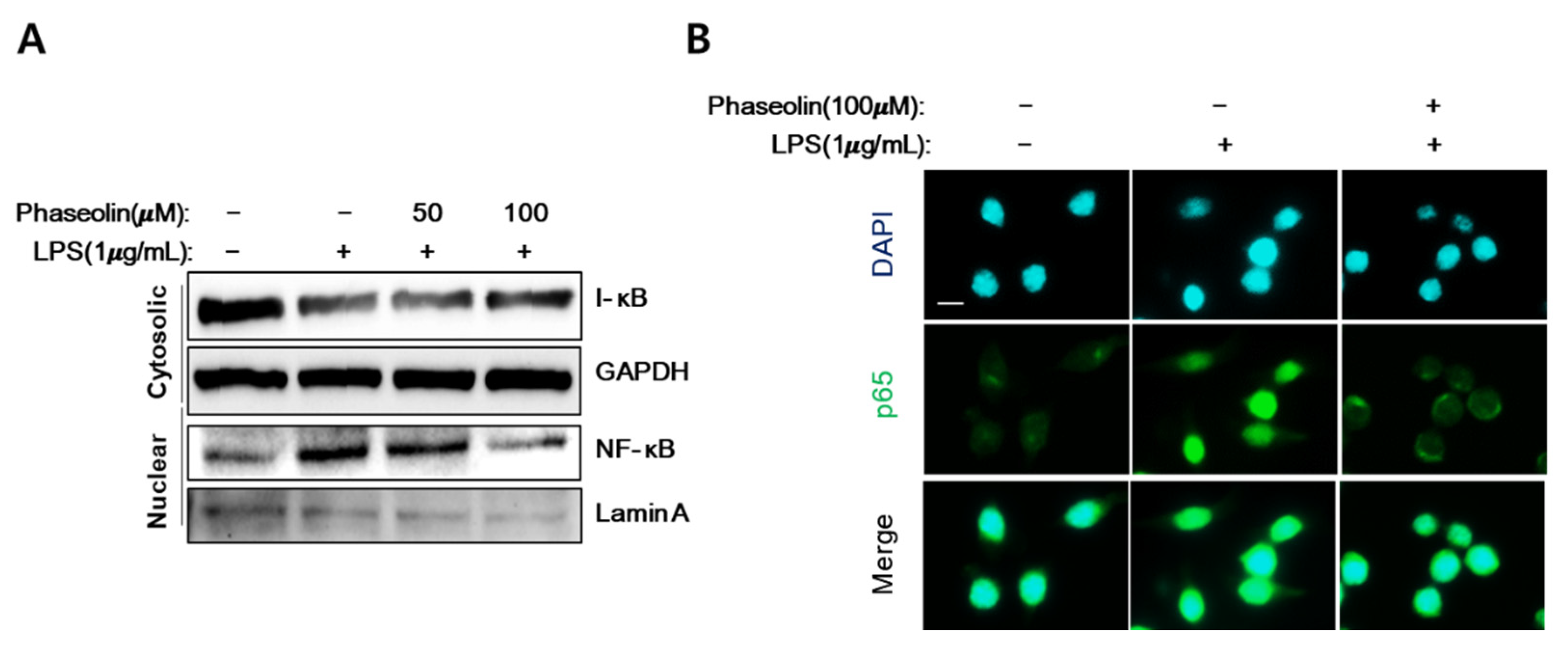 Biomedicines 09 00420 g007 Biomedicines 09 00420 g007