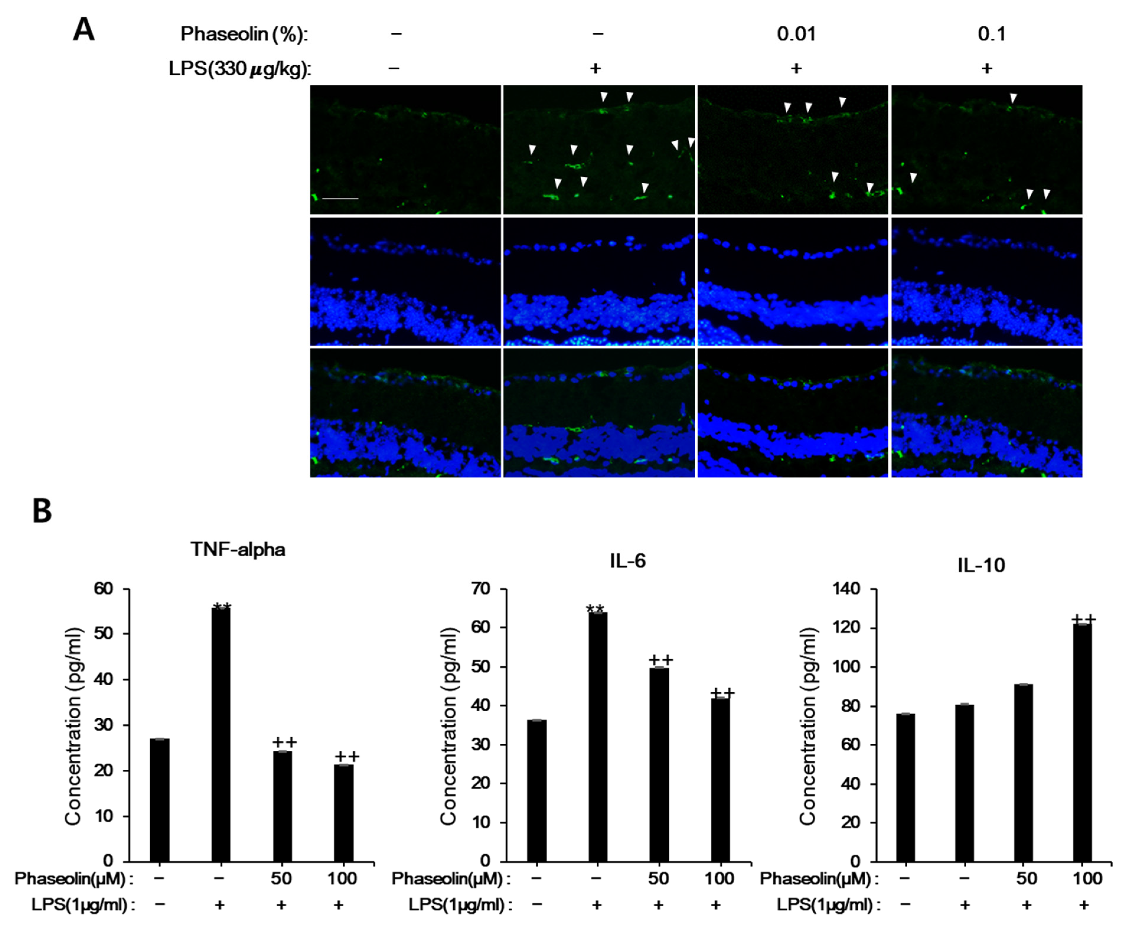 Biomedicines 09 00420 g008 Biomedicines 09 00420 g008