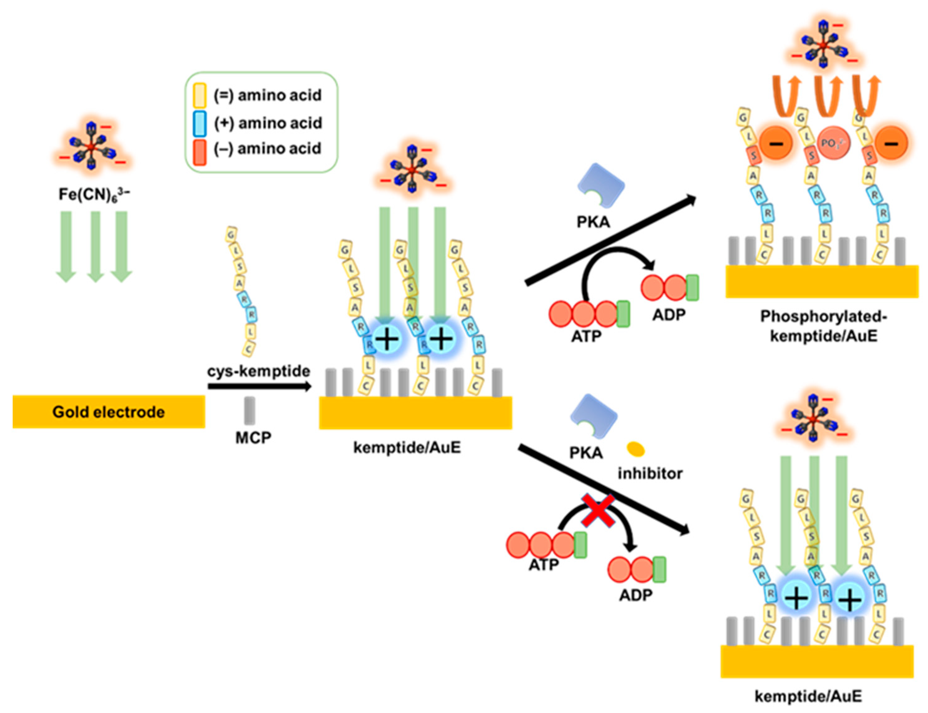 Biomedicines 09 00423 sch001