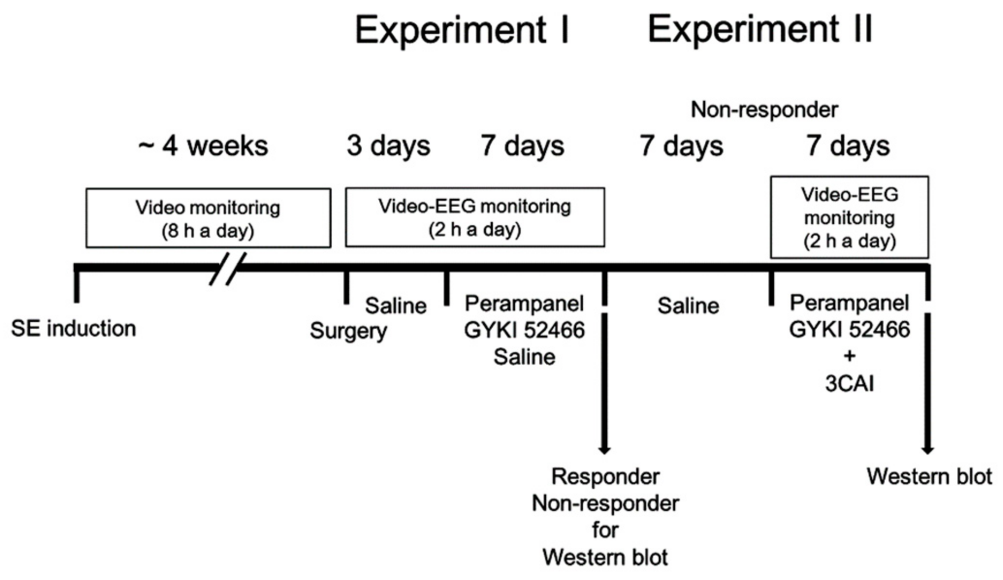 Biomedicines 09 00425 g001