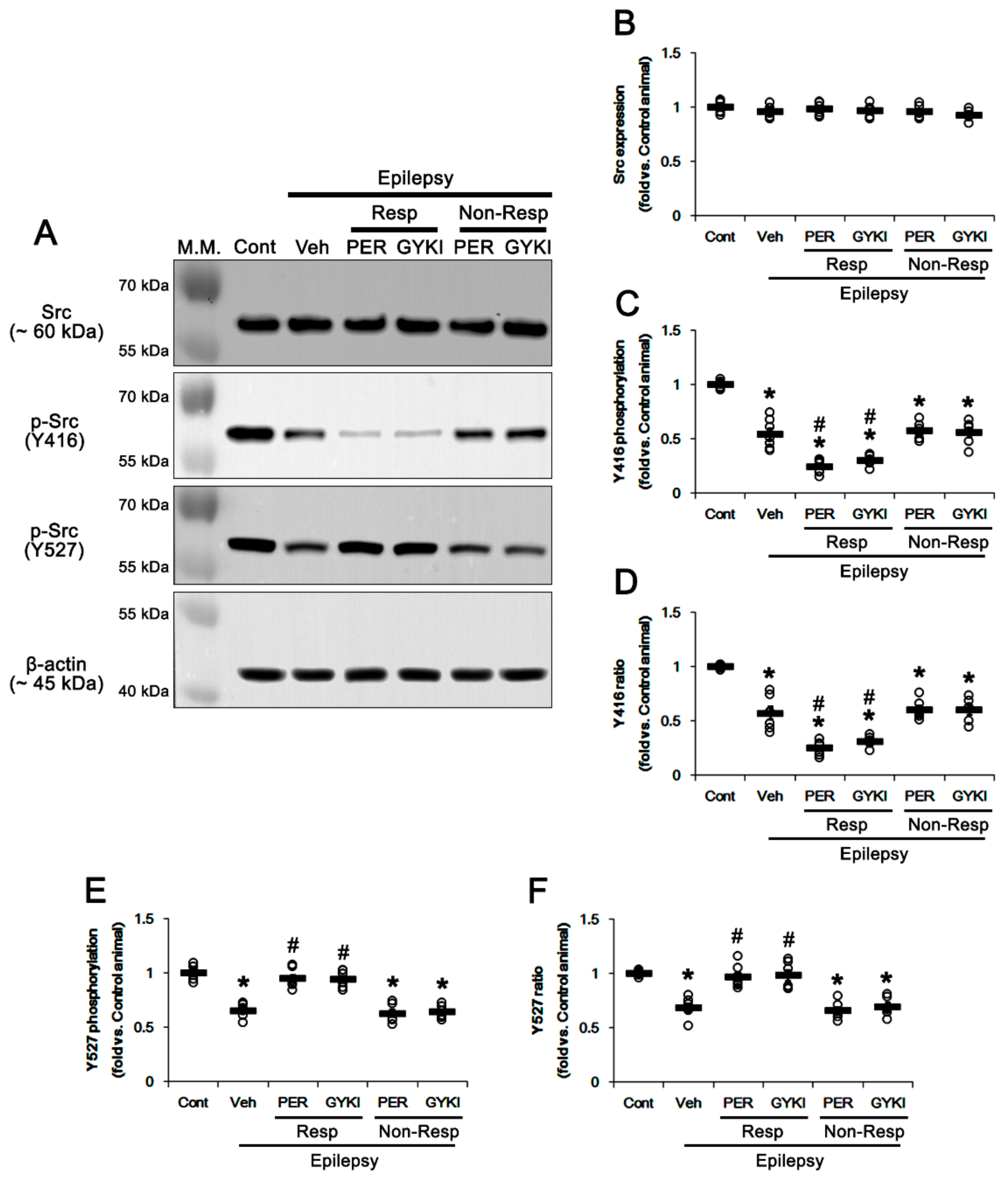 Biomedicines 09 00425 g005