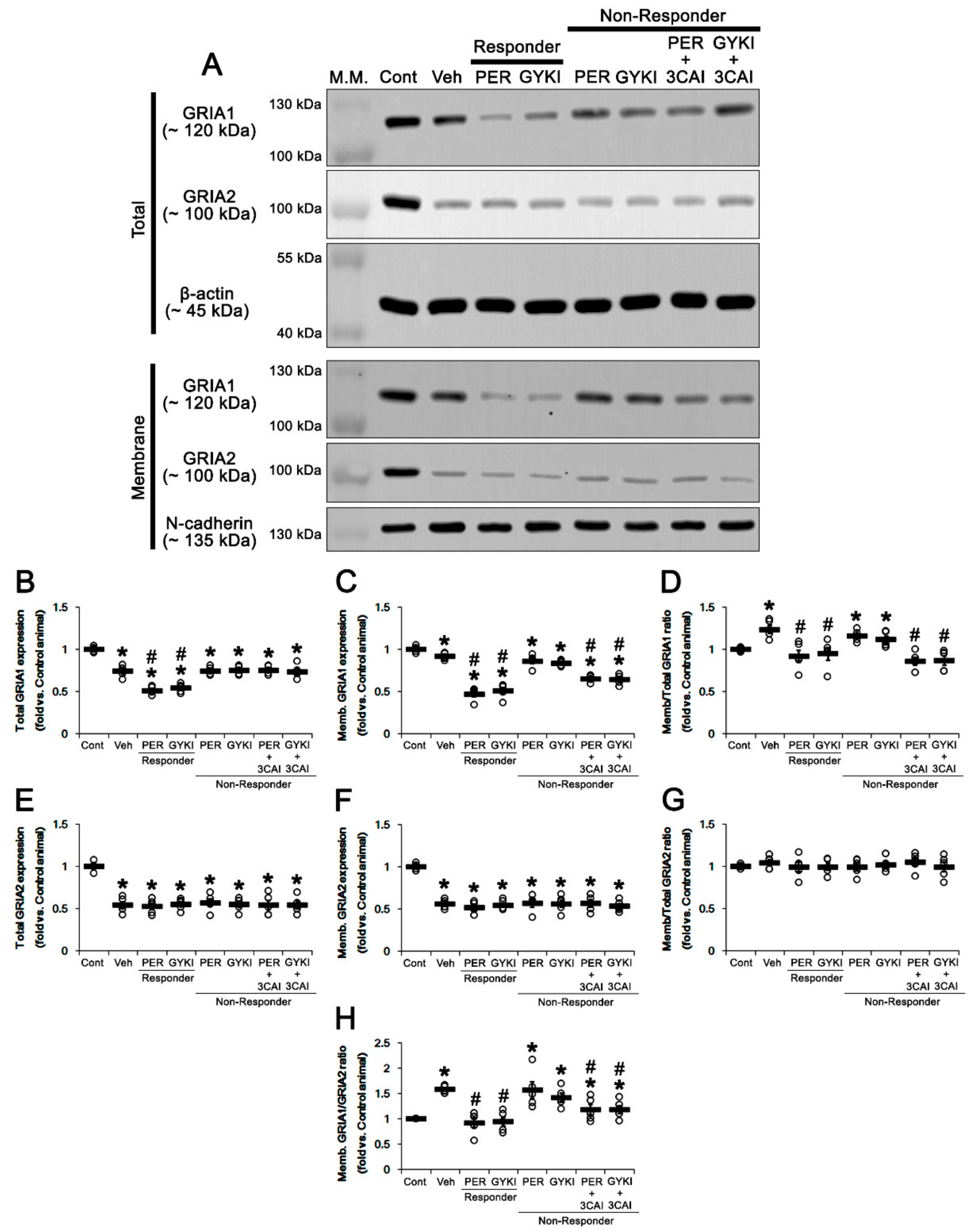 Biomedicines 09 00425 g010
