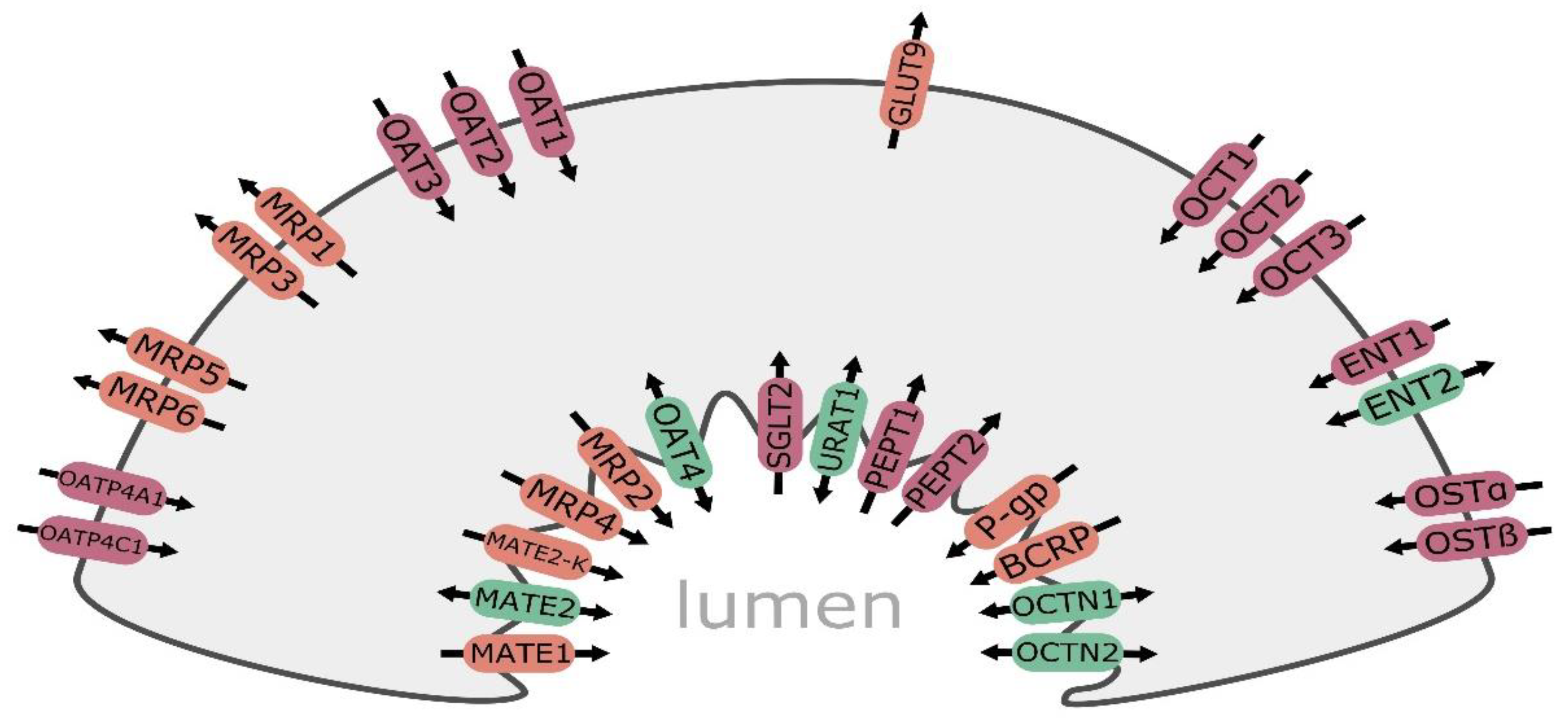 Biomedicines 09 00426 g001