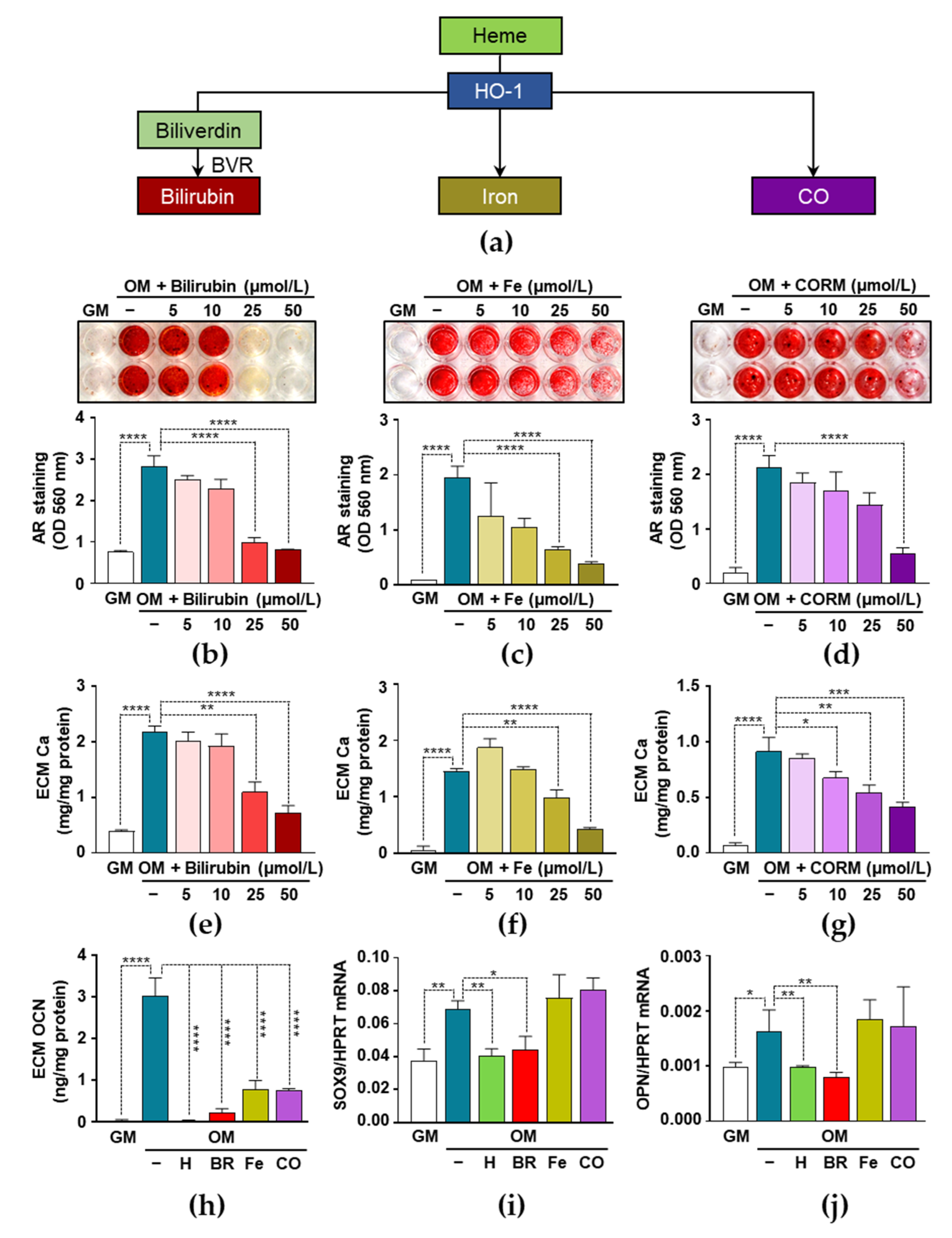 Biomedicines 09 00427 g005