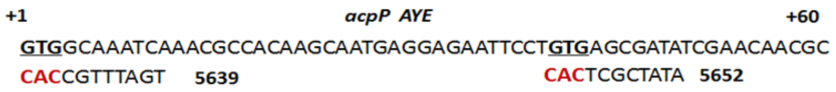 Biomedicines 09 00429 g001