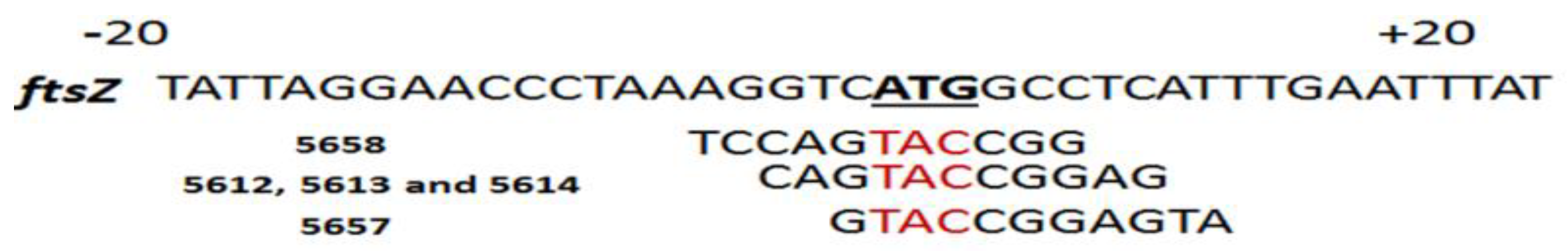 Biomedicines 09 00429 g003
