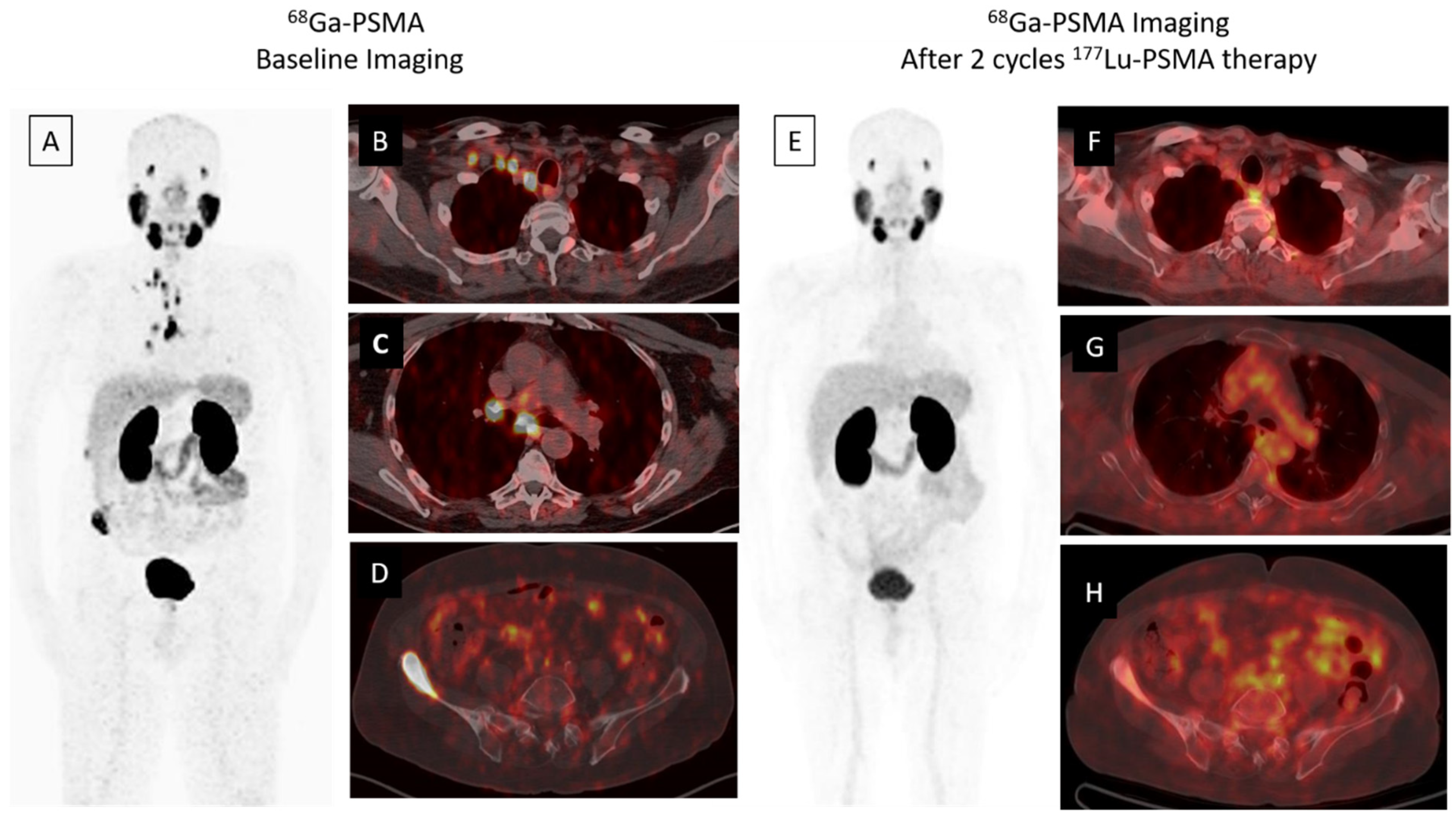 Biomedicines 09 00430 g001