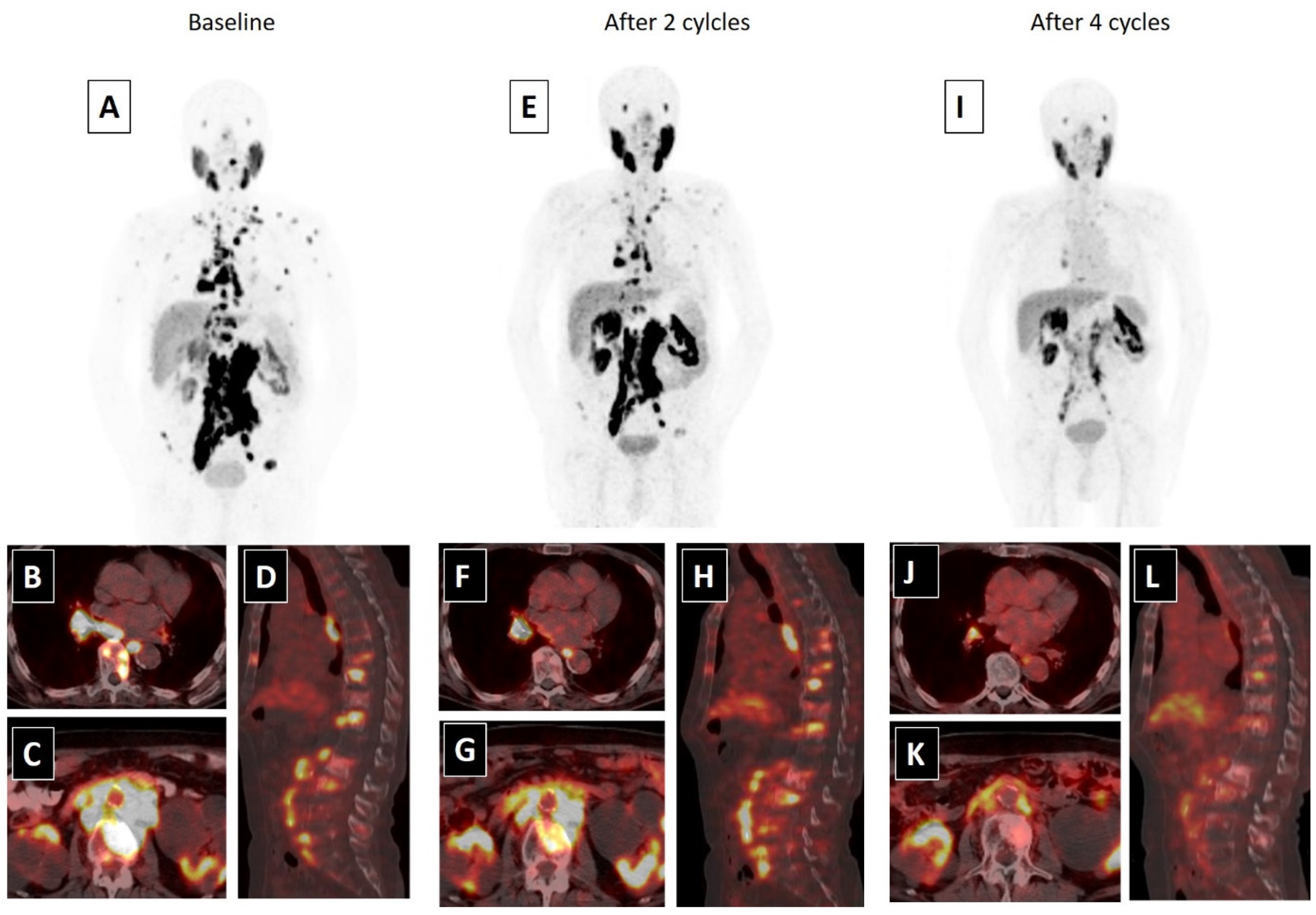 Biomedicines 09 00430 g002