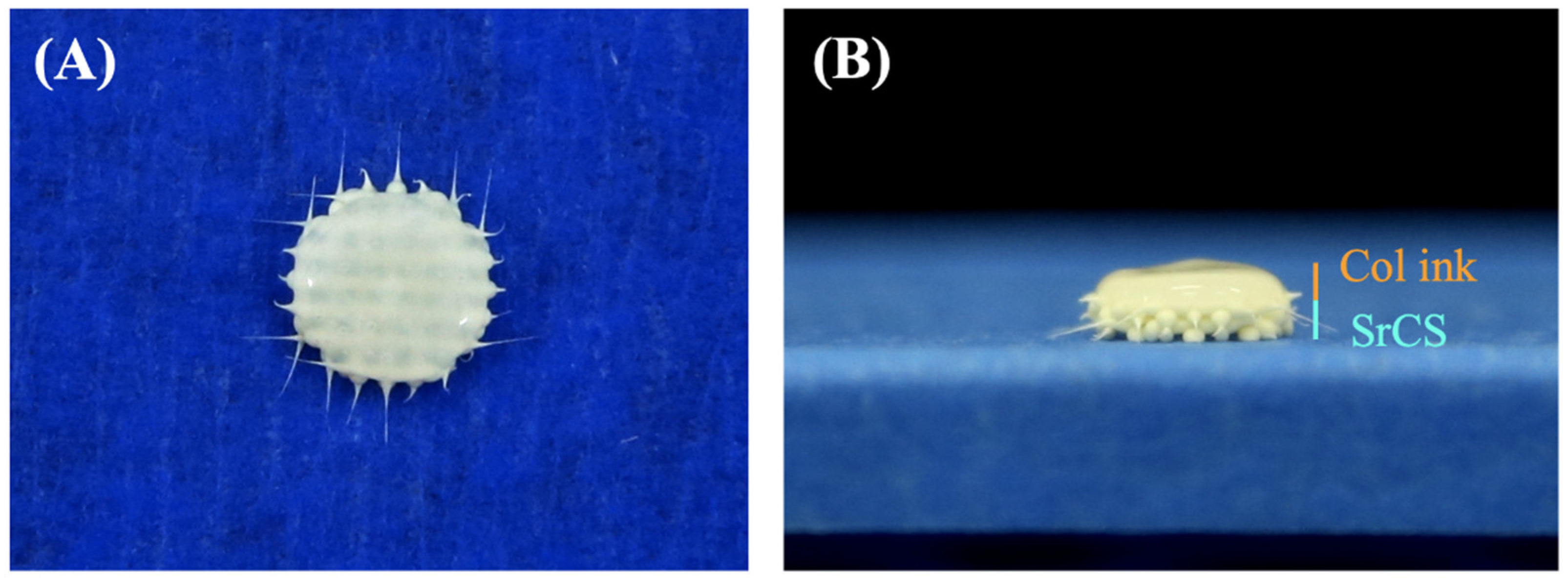 Biomedicines 09 00431 g001