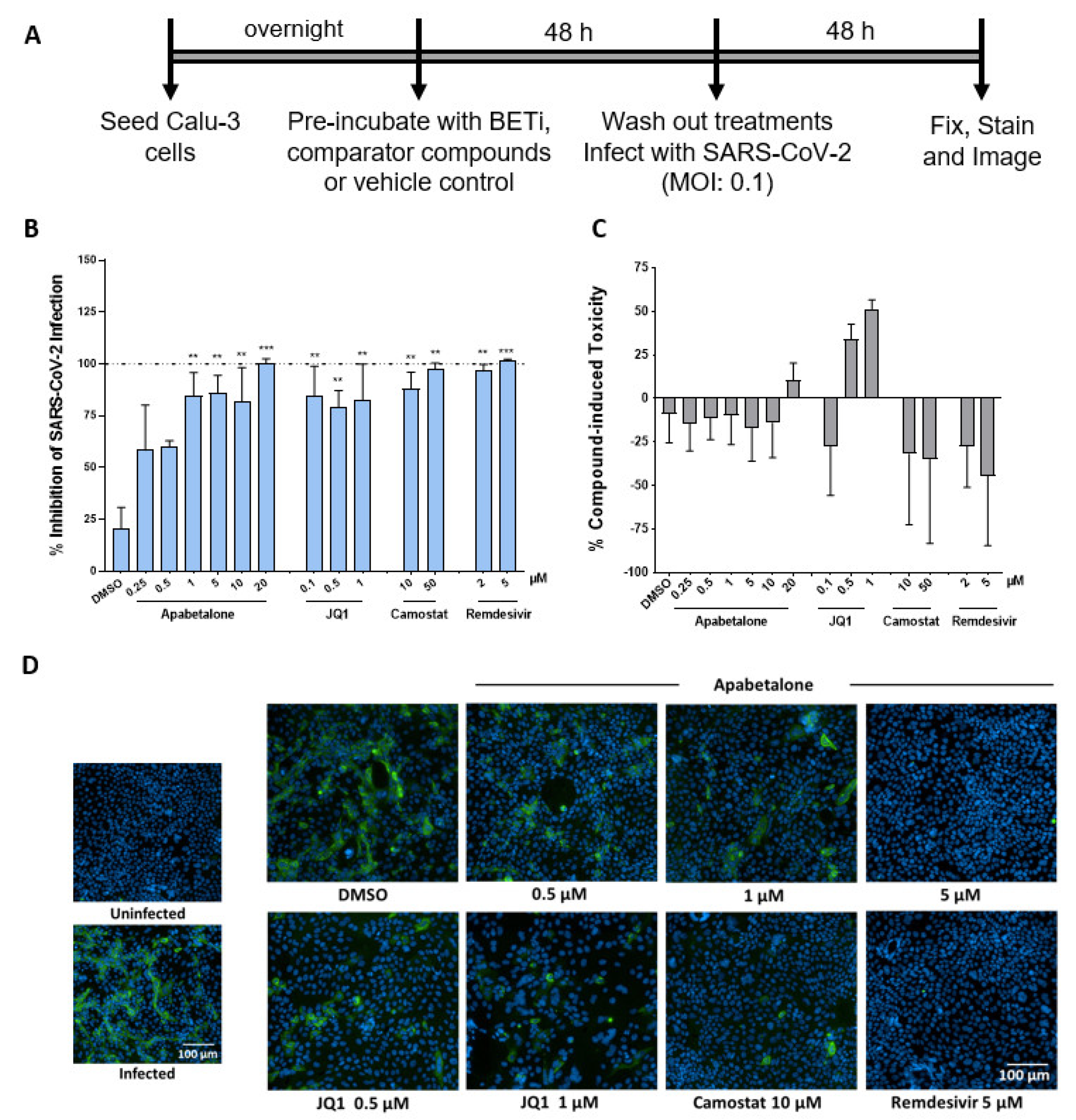 Biomedicines 09 00437 g004