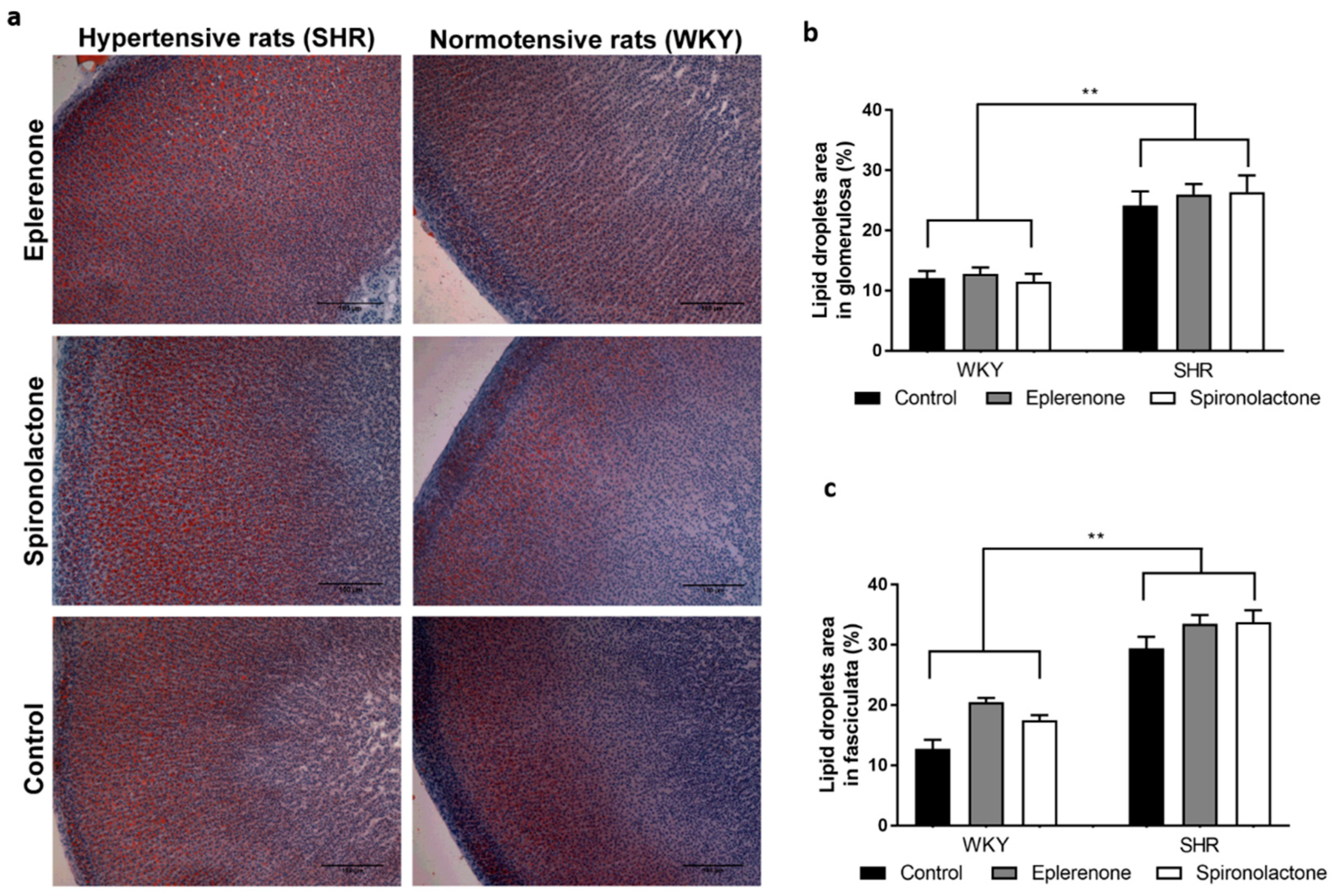 Biomedicines 09 00441 g002