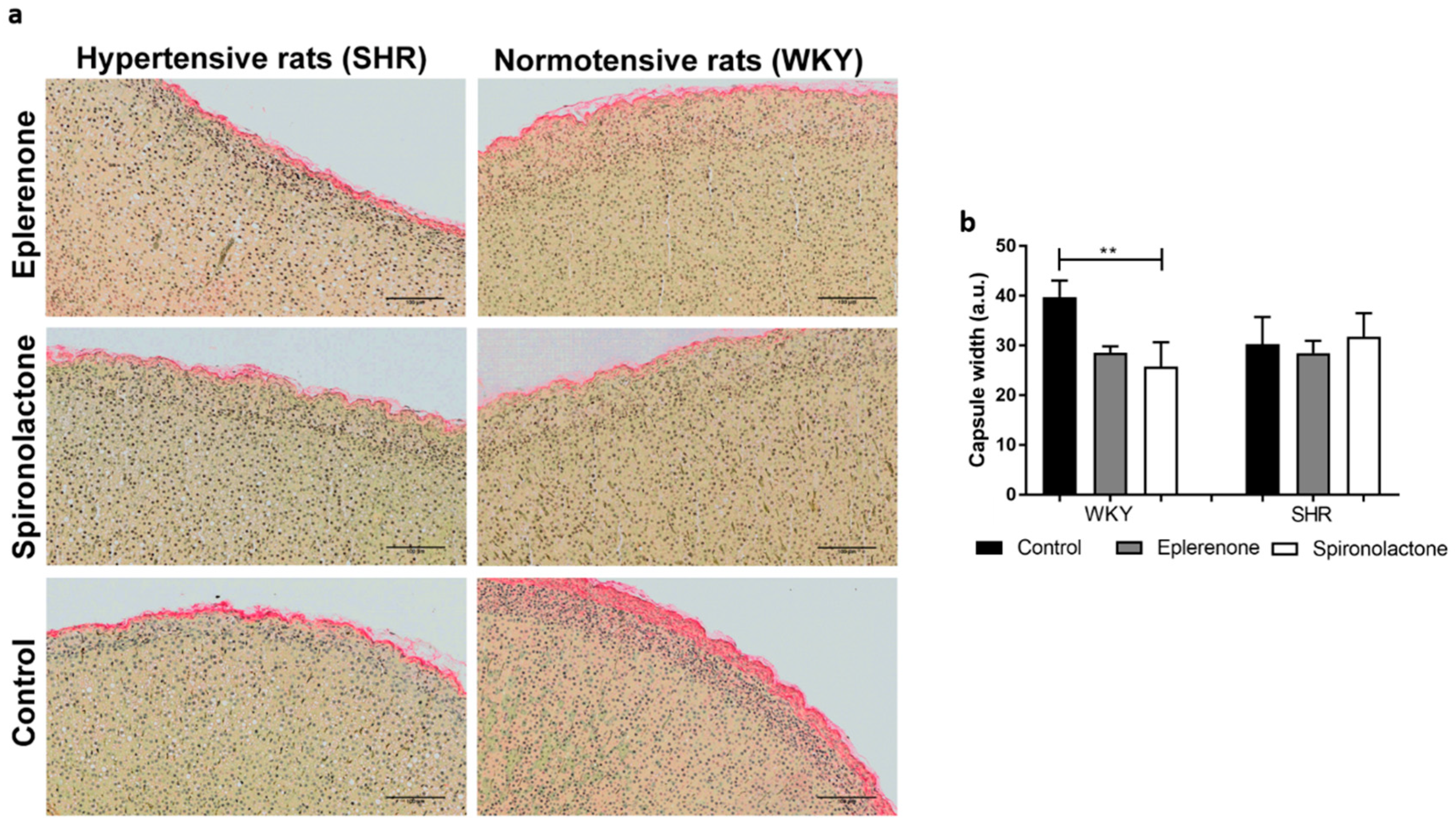 Biomedicines 09 00441 g003