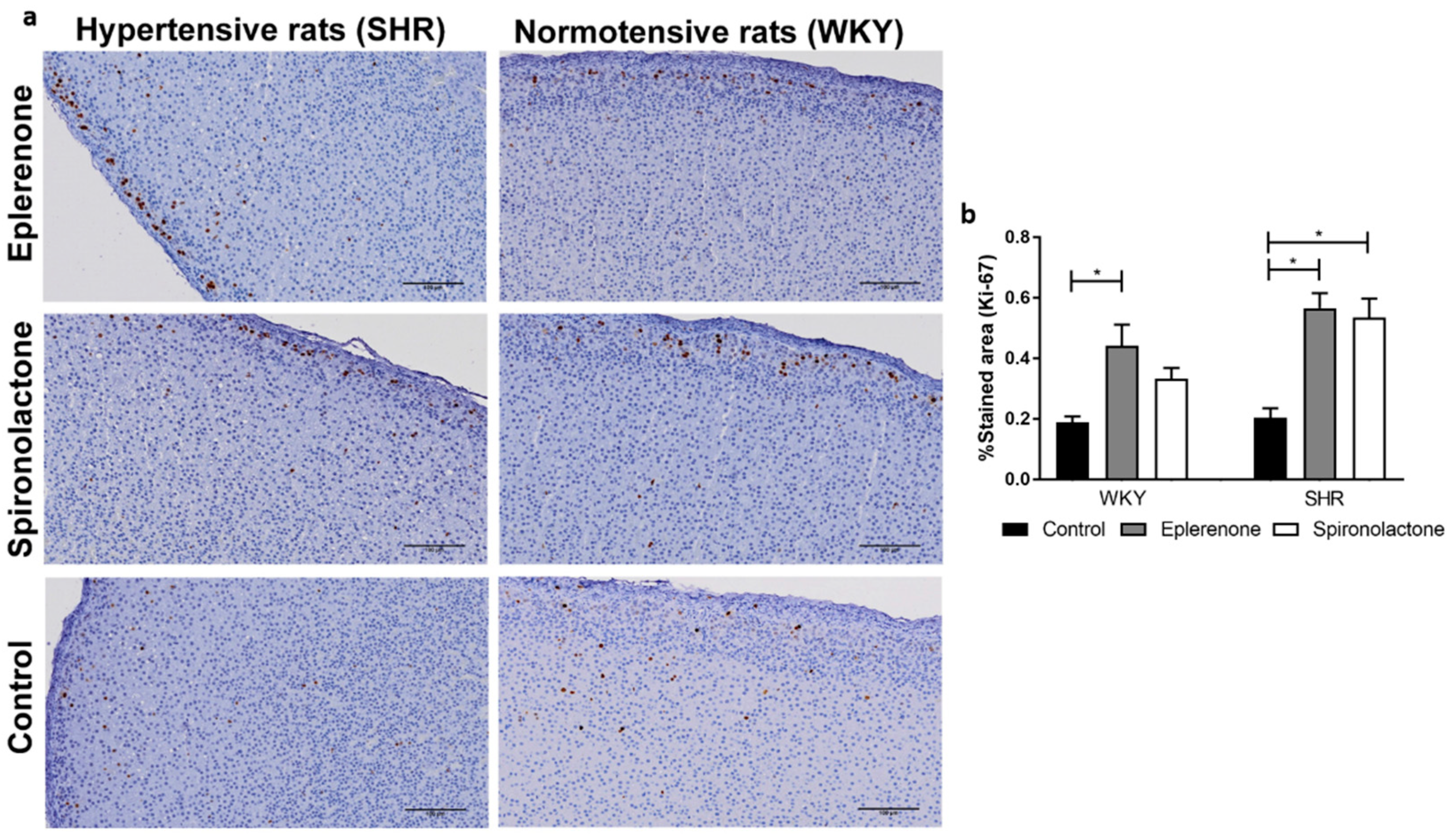Biomedicines 09 00441 g004