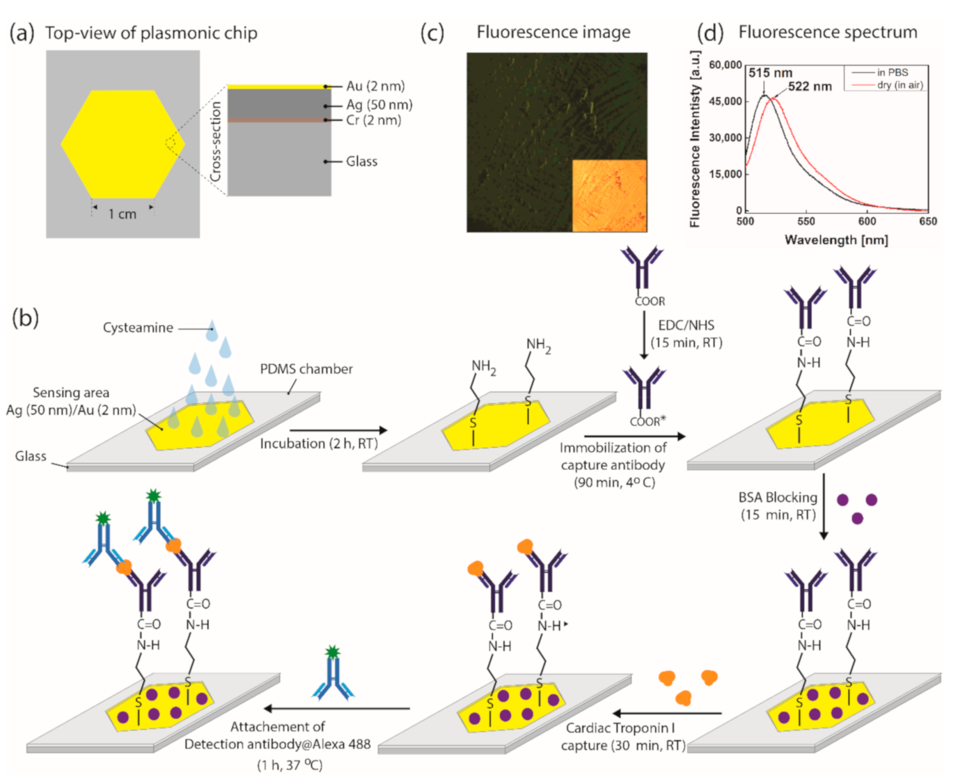 Biomedicines 09 00448 g001