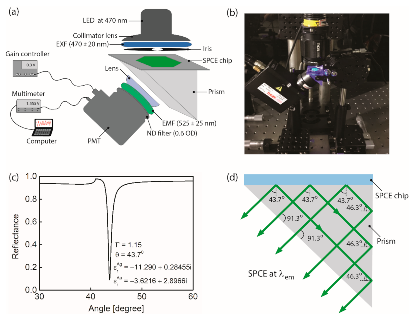 Biomedicines 09 00448 g002