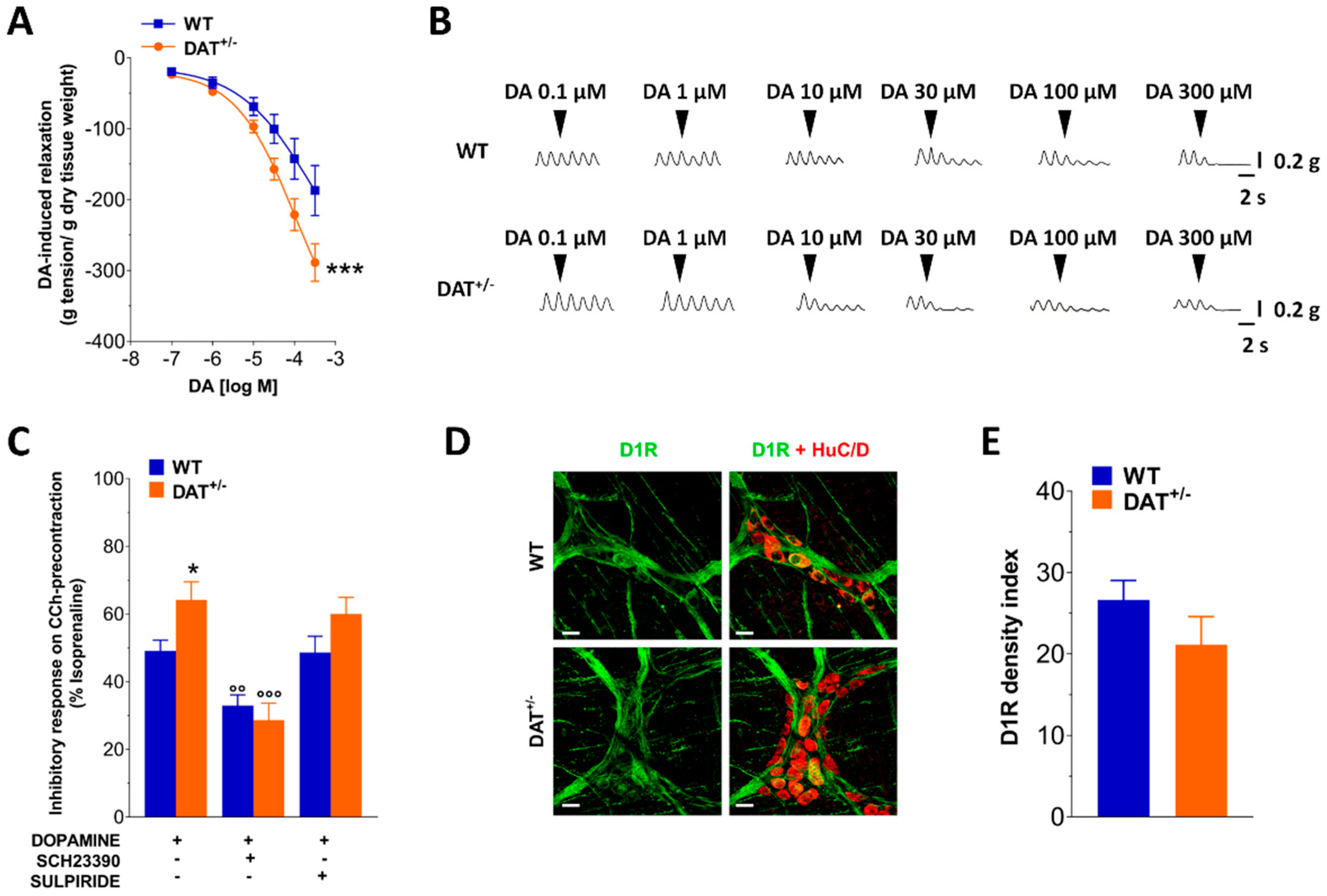 Biomedicines 09 00465 g001 Biomedicines 09 00465 g001