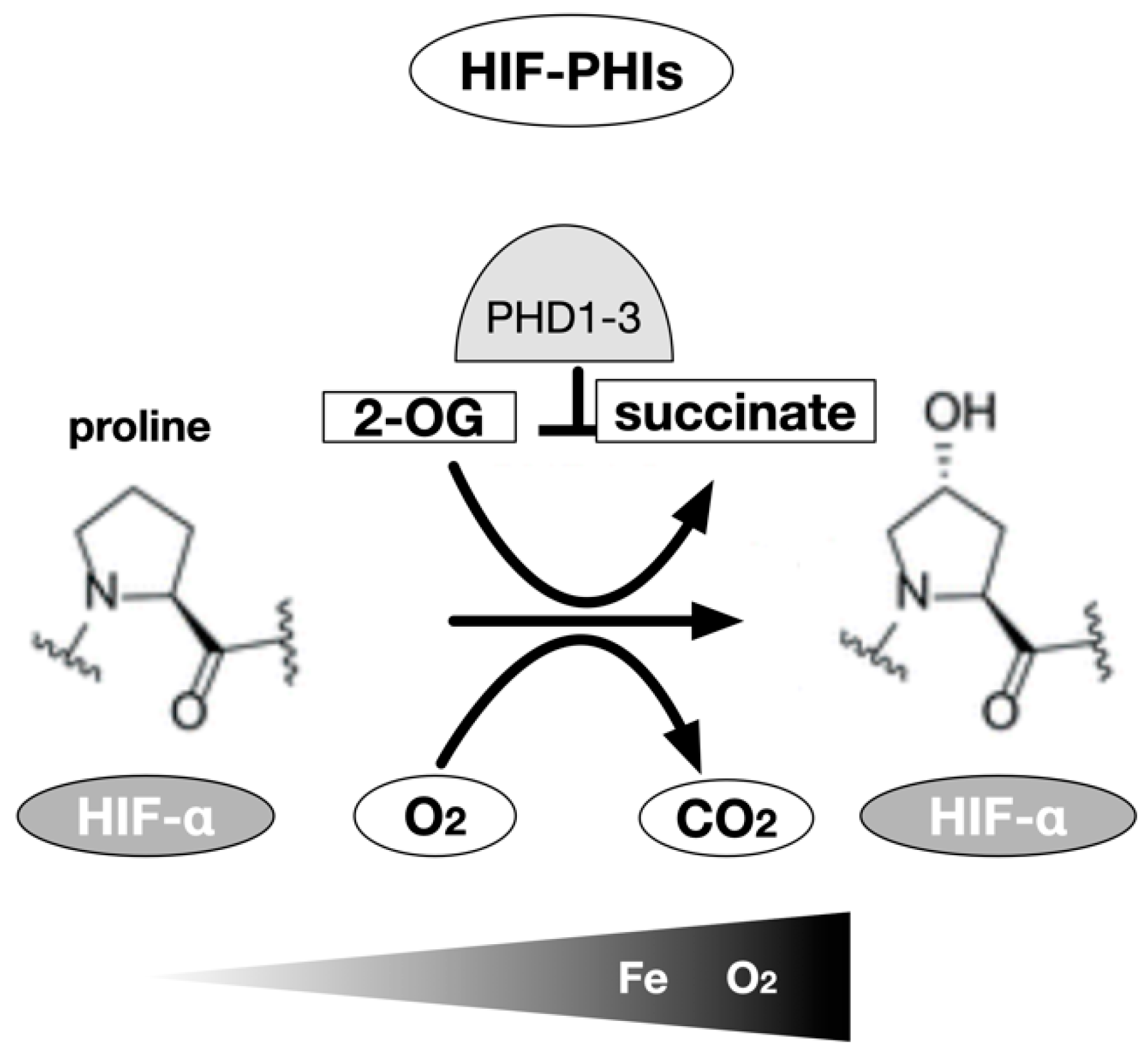 Biomedicines 09 00468 g002 Biomedicines 09 00468 g002